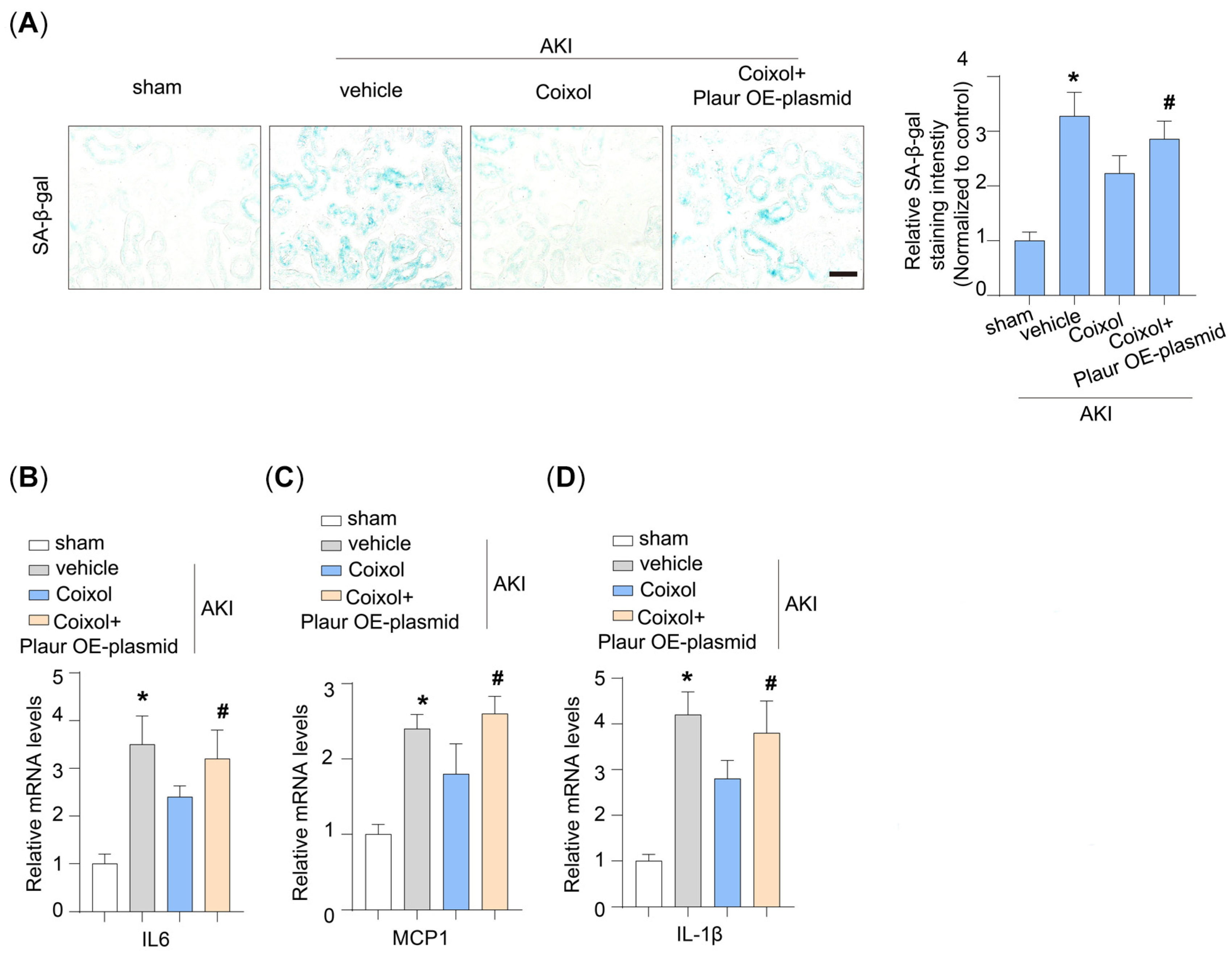 Biology 14 00560 g006