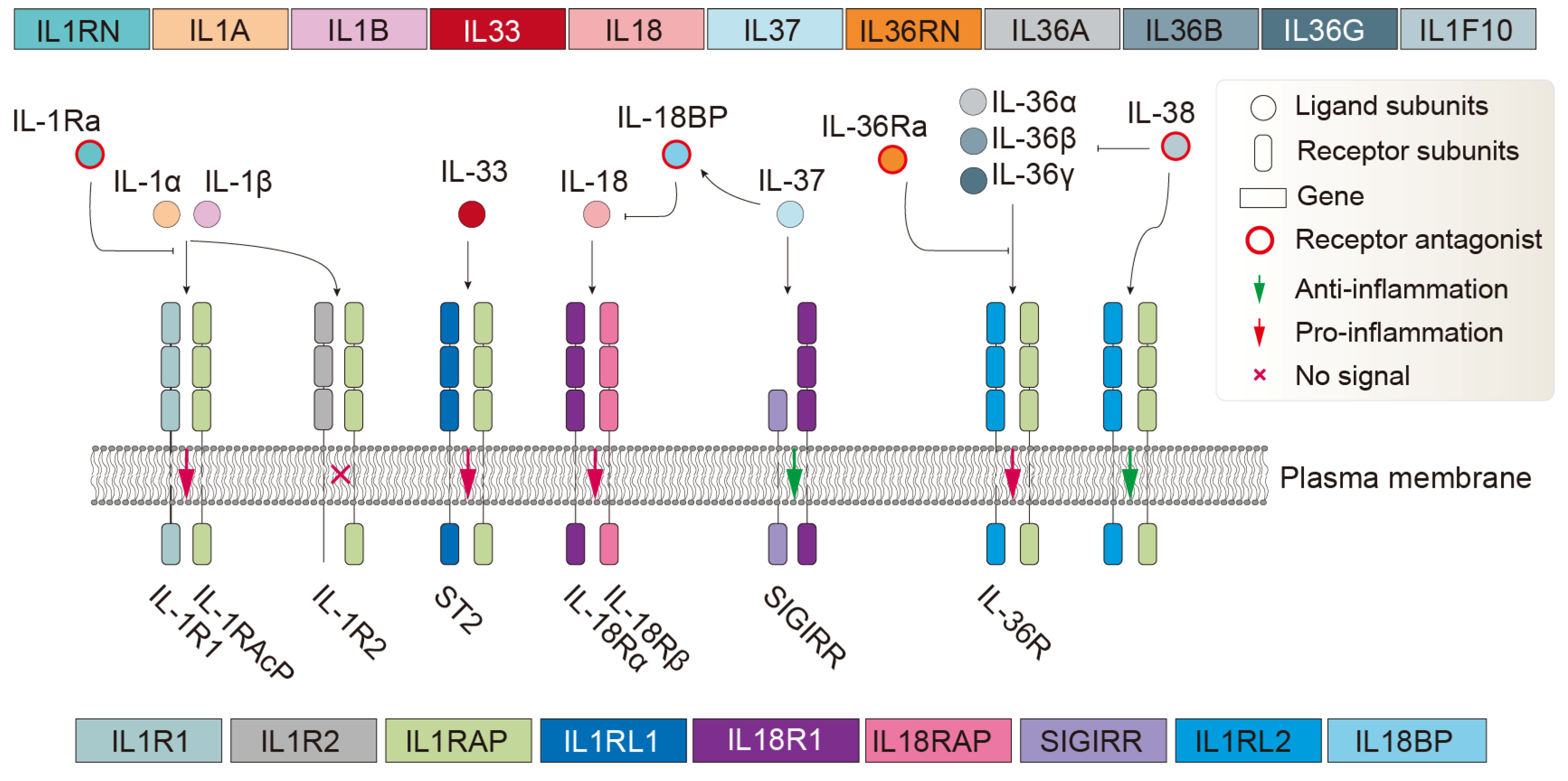 Biology 14 00561 g001