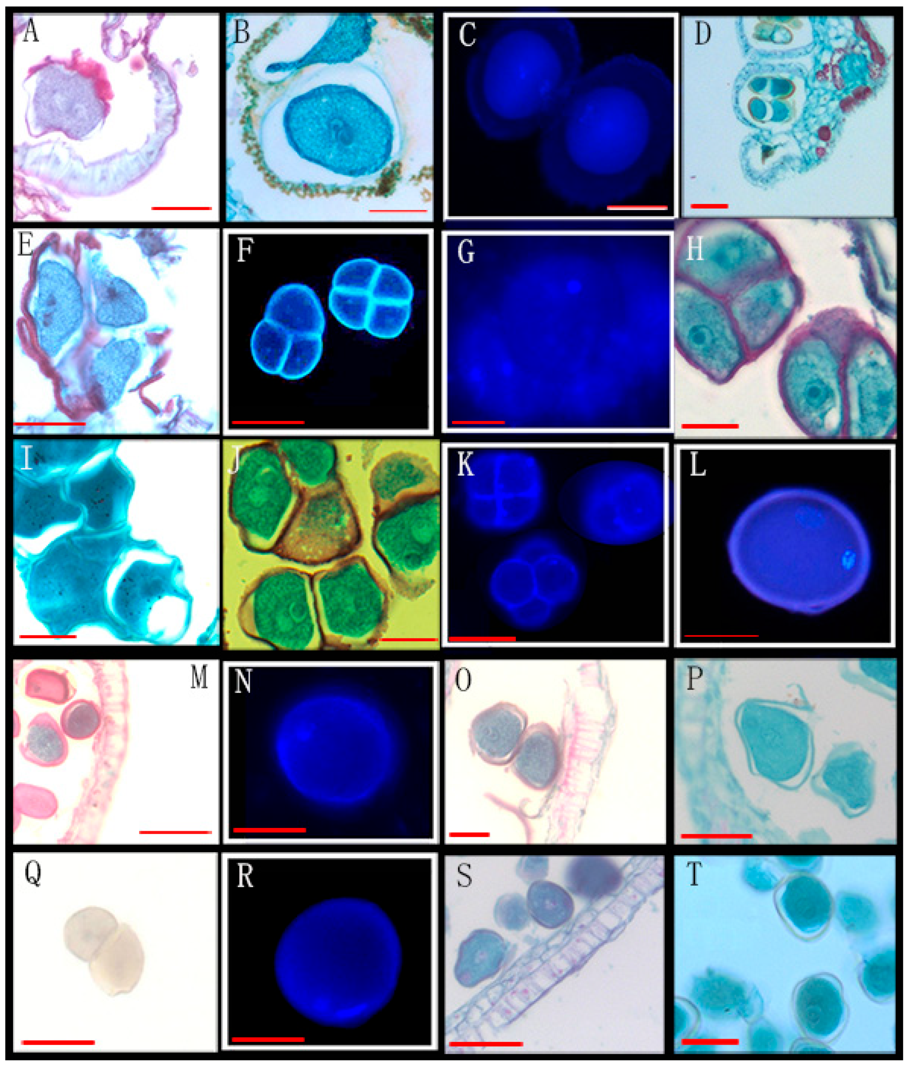 Biology 14 00562 g005