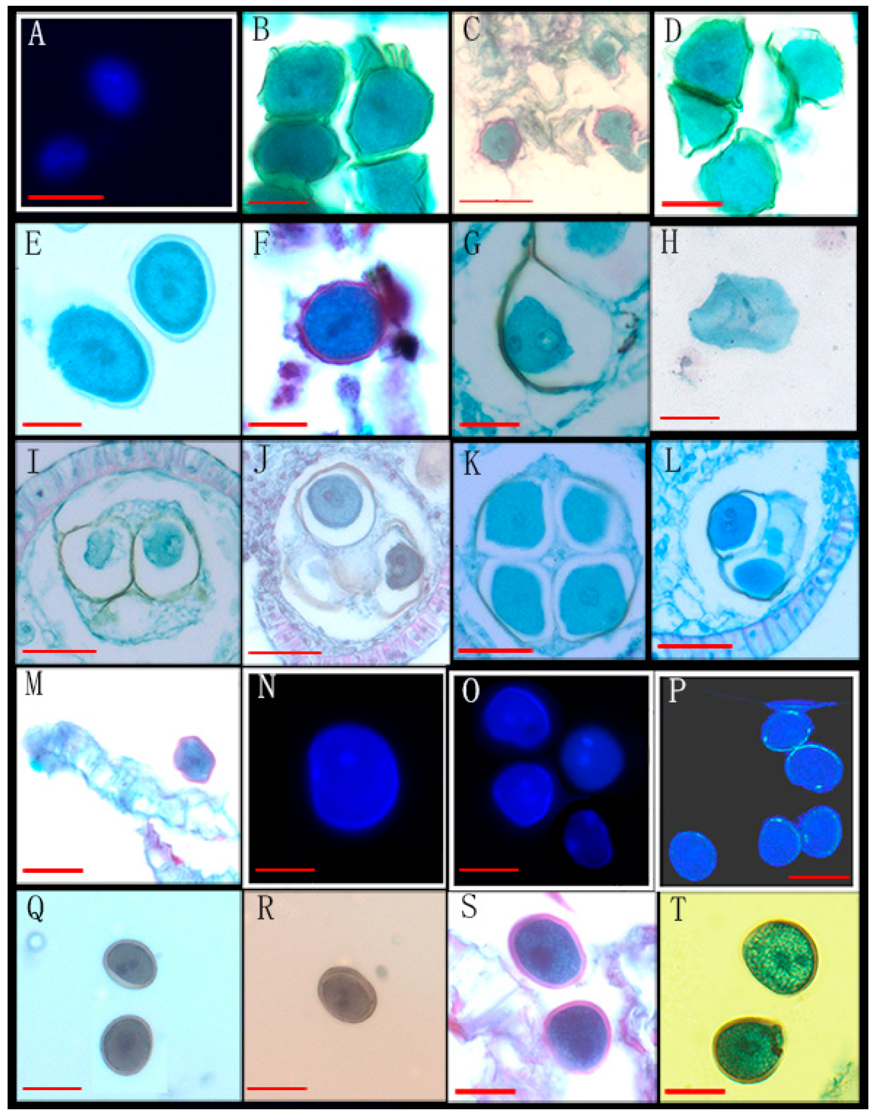 Biology 14 00562 g006