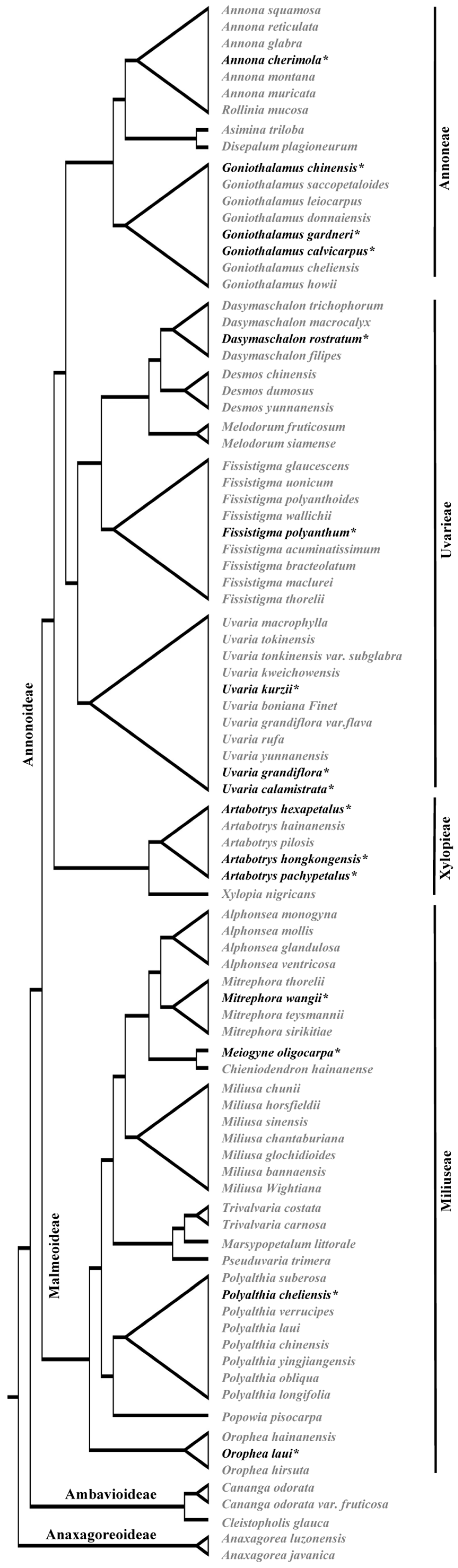 Biology 14 00562 g008