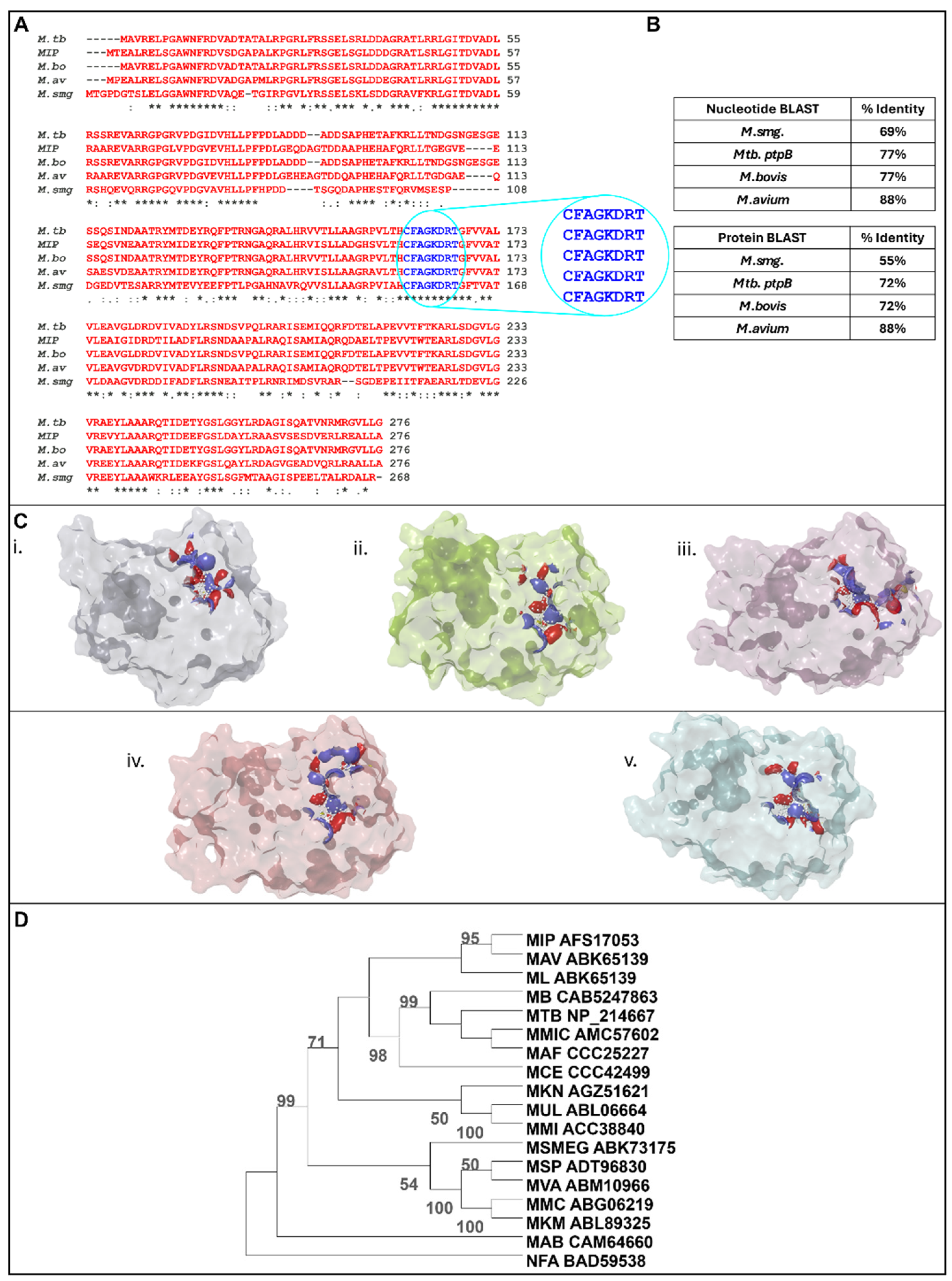 Biology 14 00565 g001