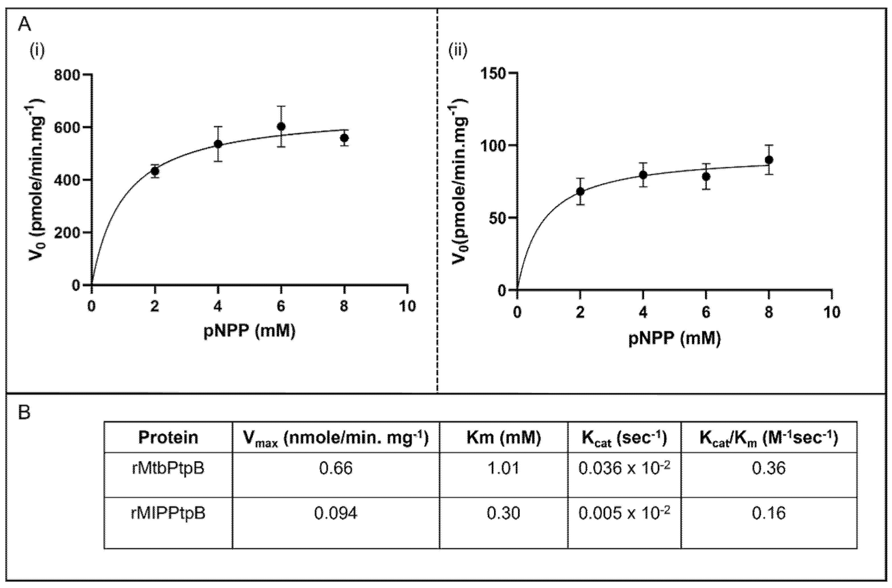 Biology 14 00565 g004