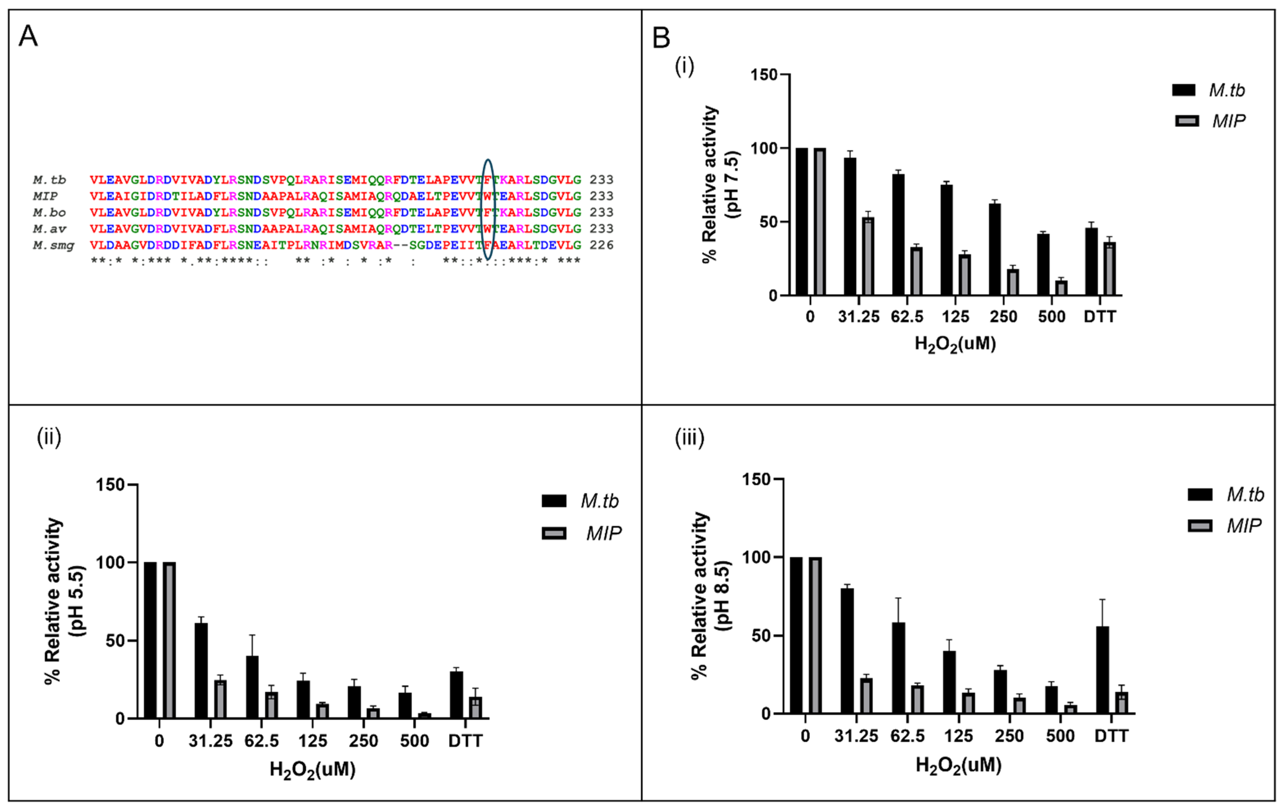 Biology 14 00565 g005