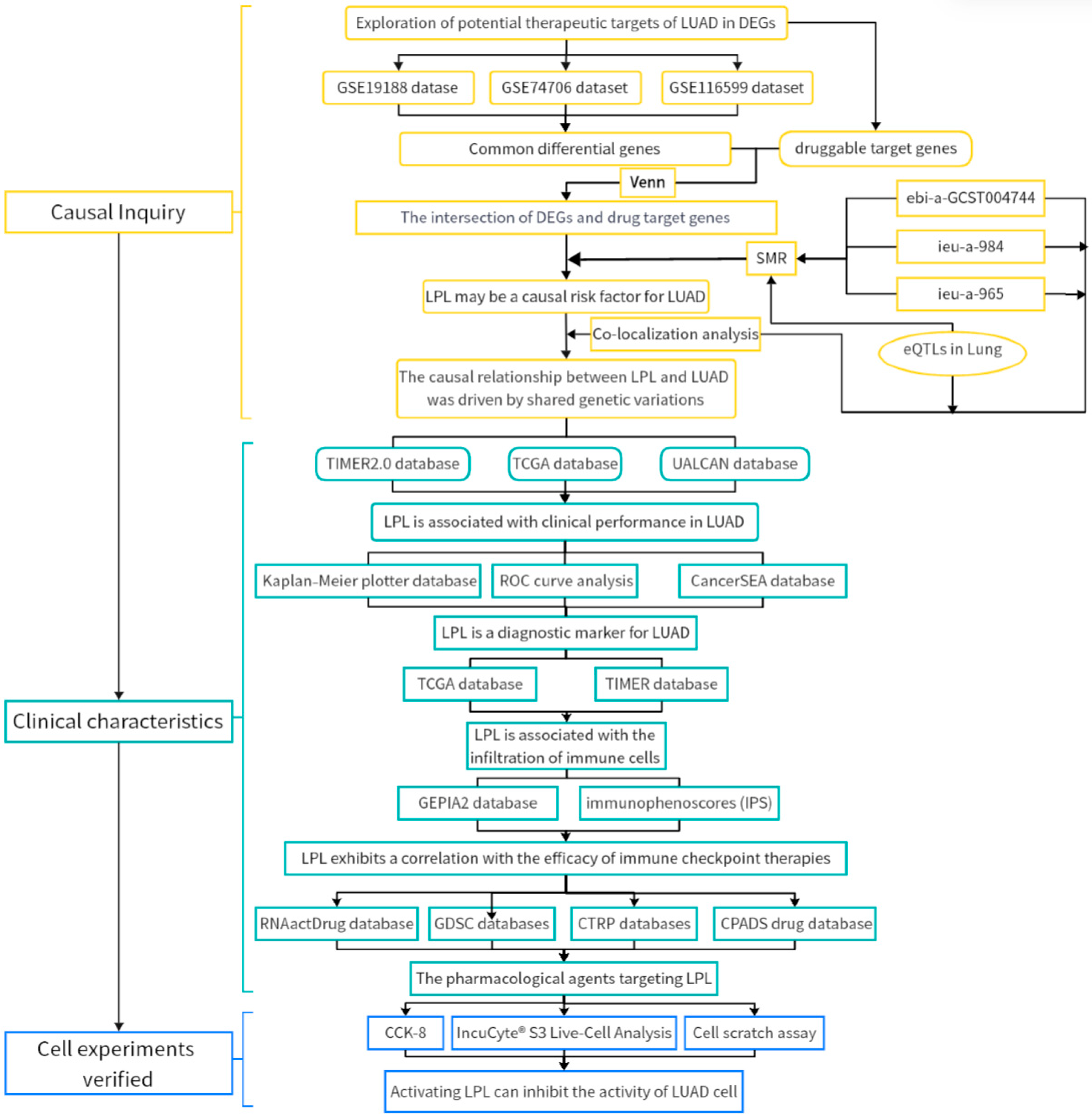 Biology 14 00566 g001