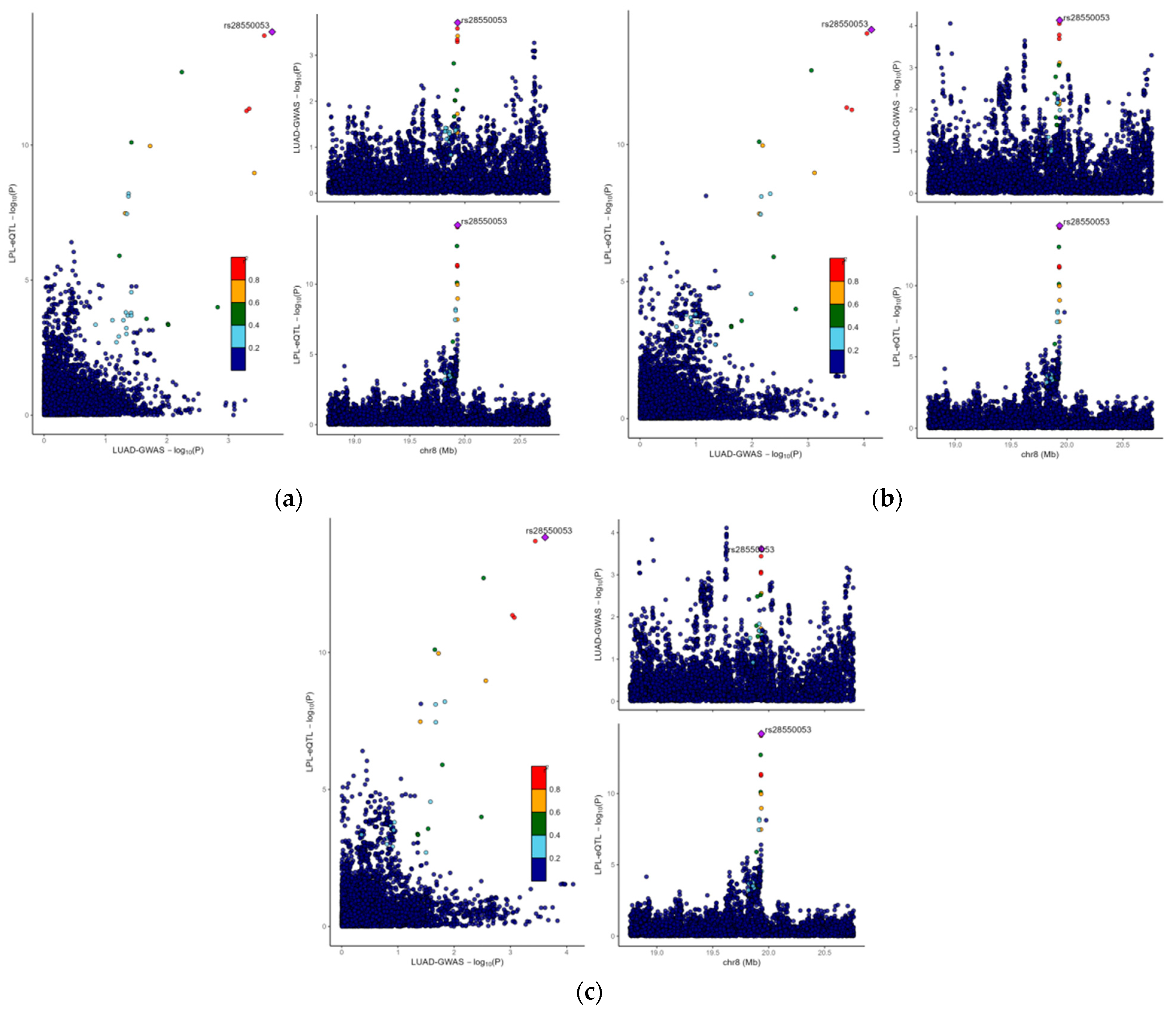 Biology 14 00566 g004