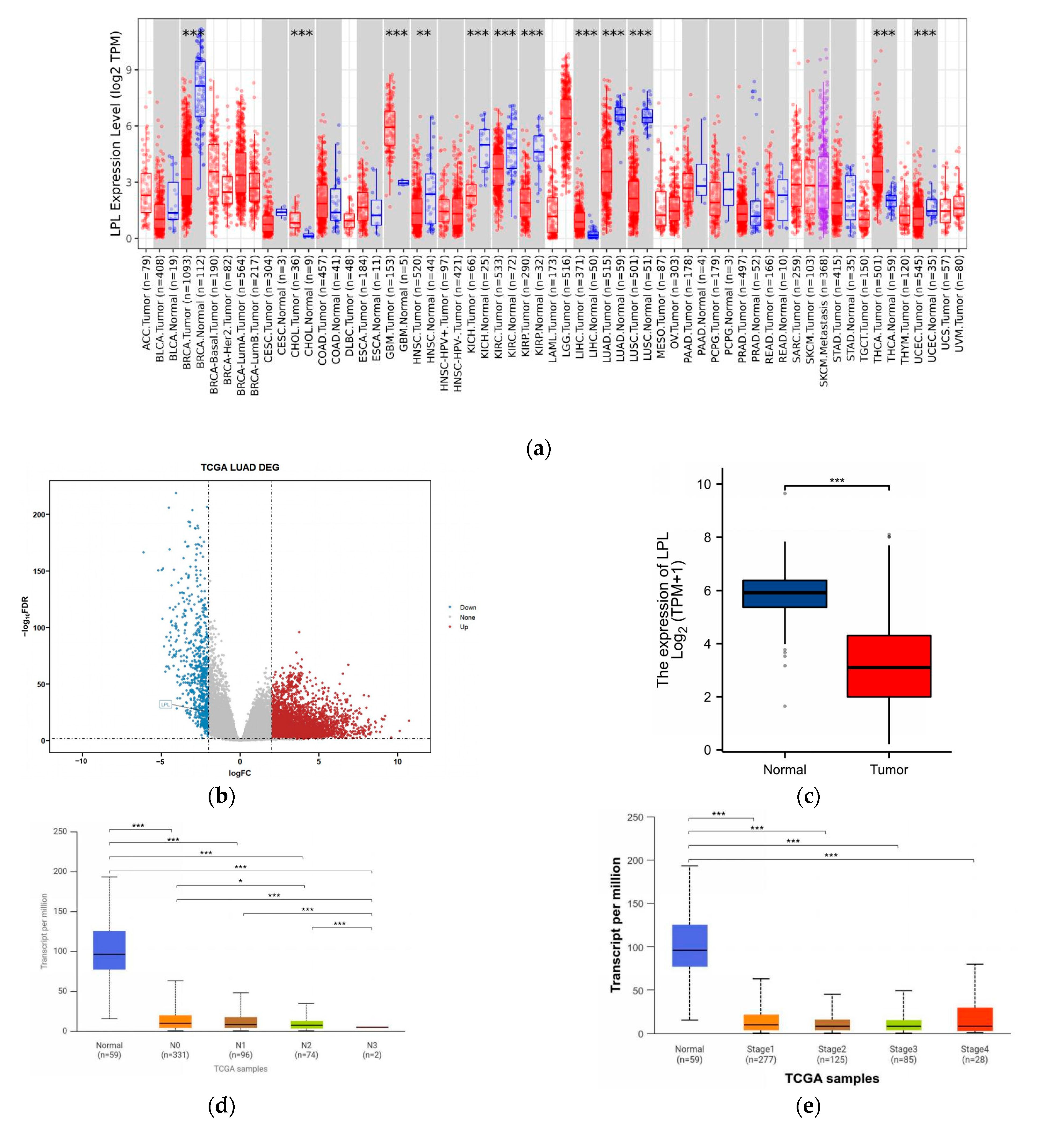Biology 14 00566 g005a