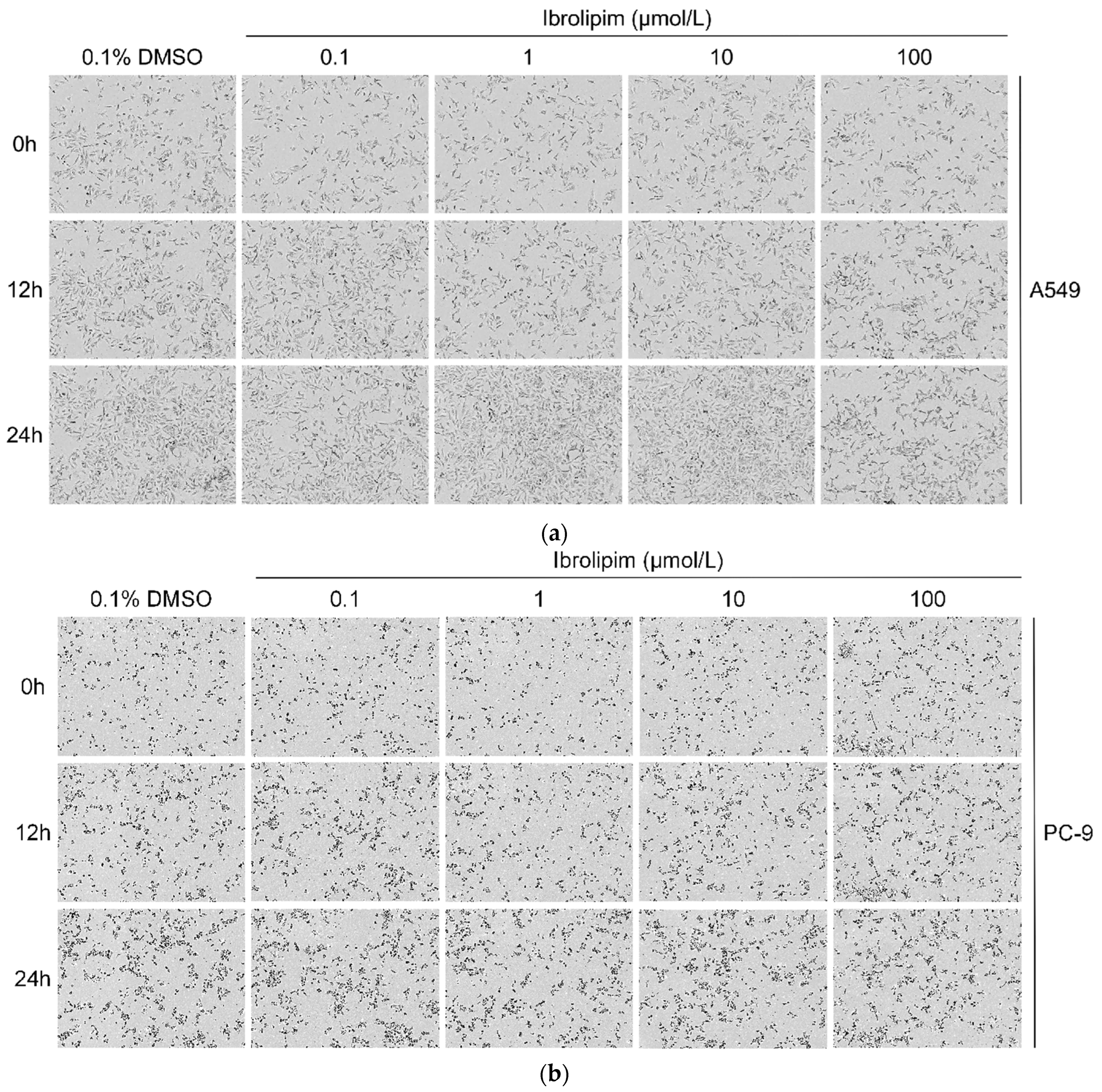 Biology 14 00566 g008a