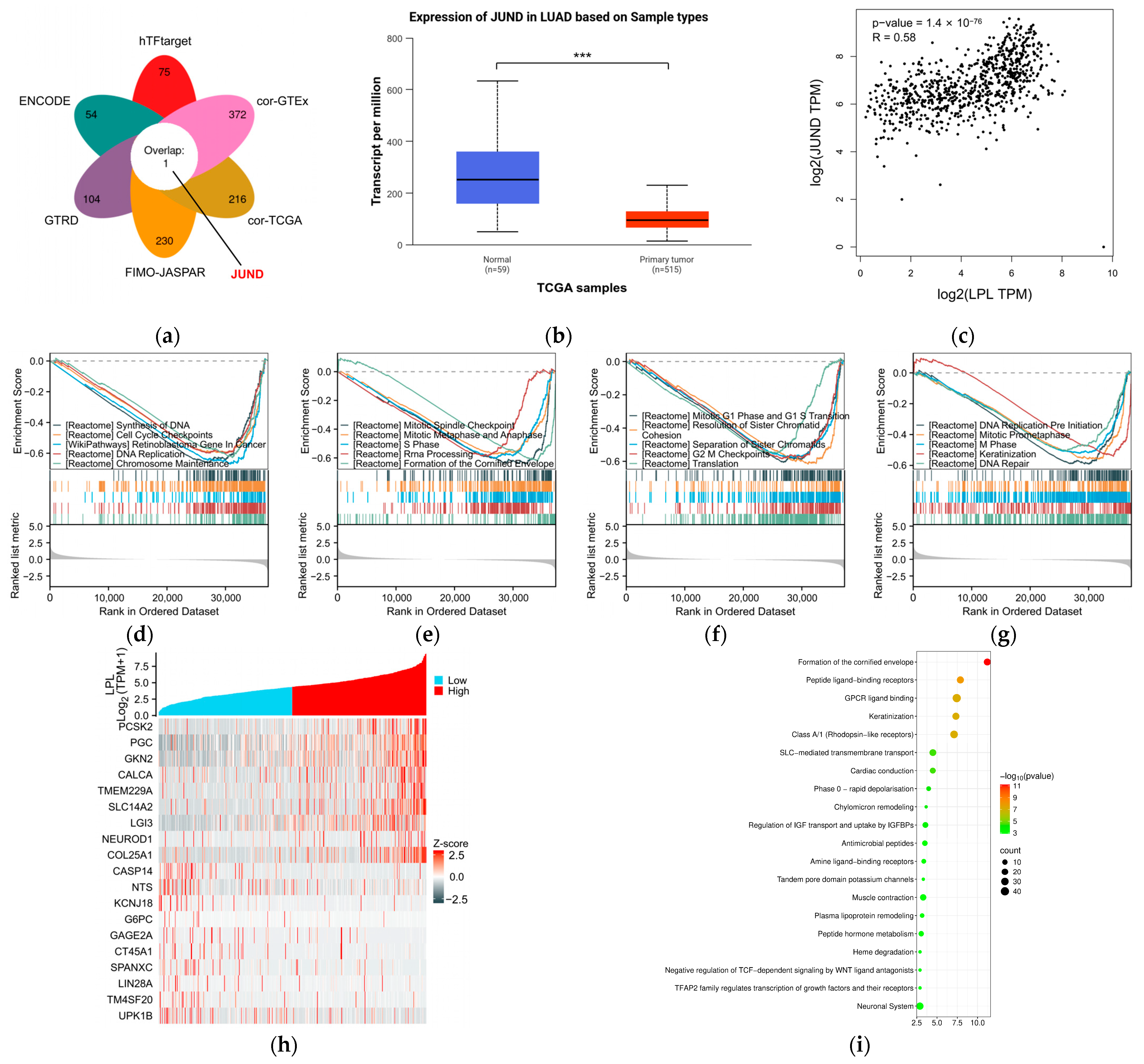 Biology 14 00566 g009