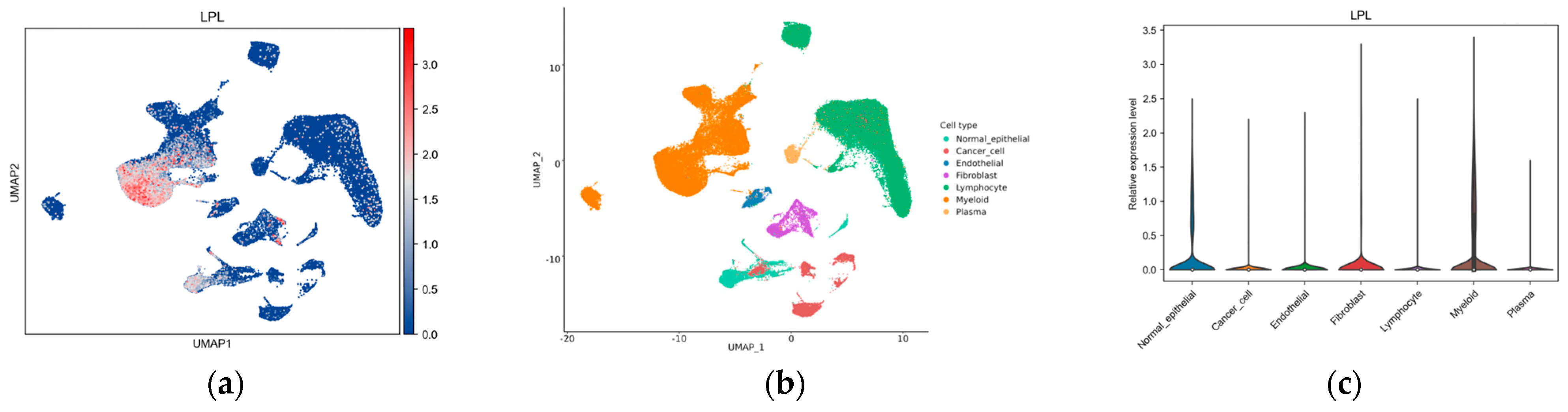 Biology 14 00566 g010a