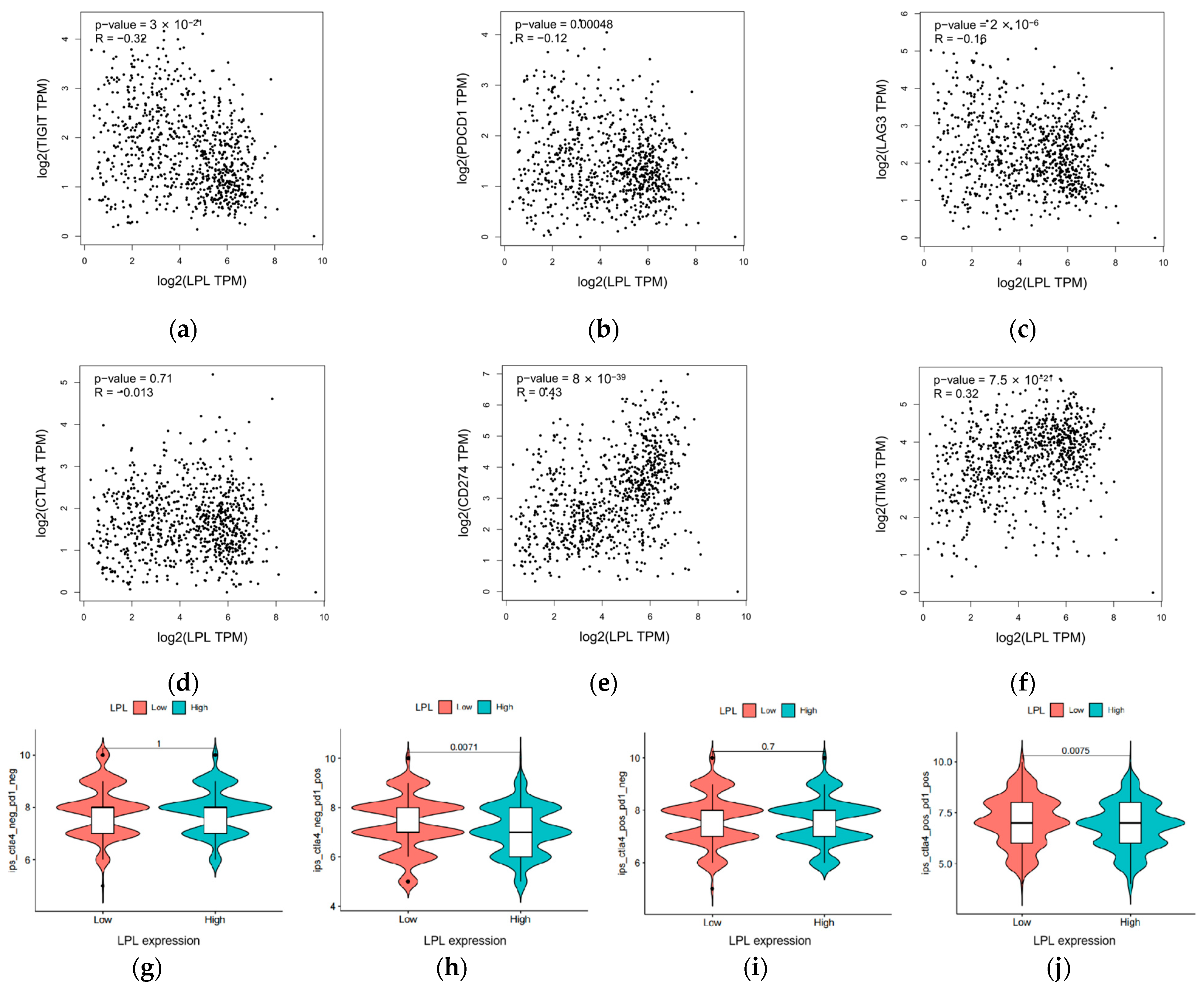 Biology 14 00566 g011