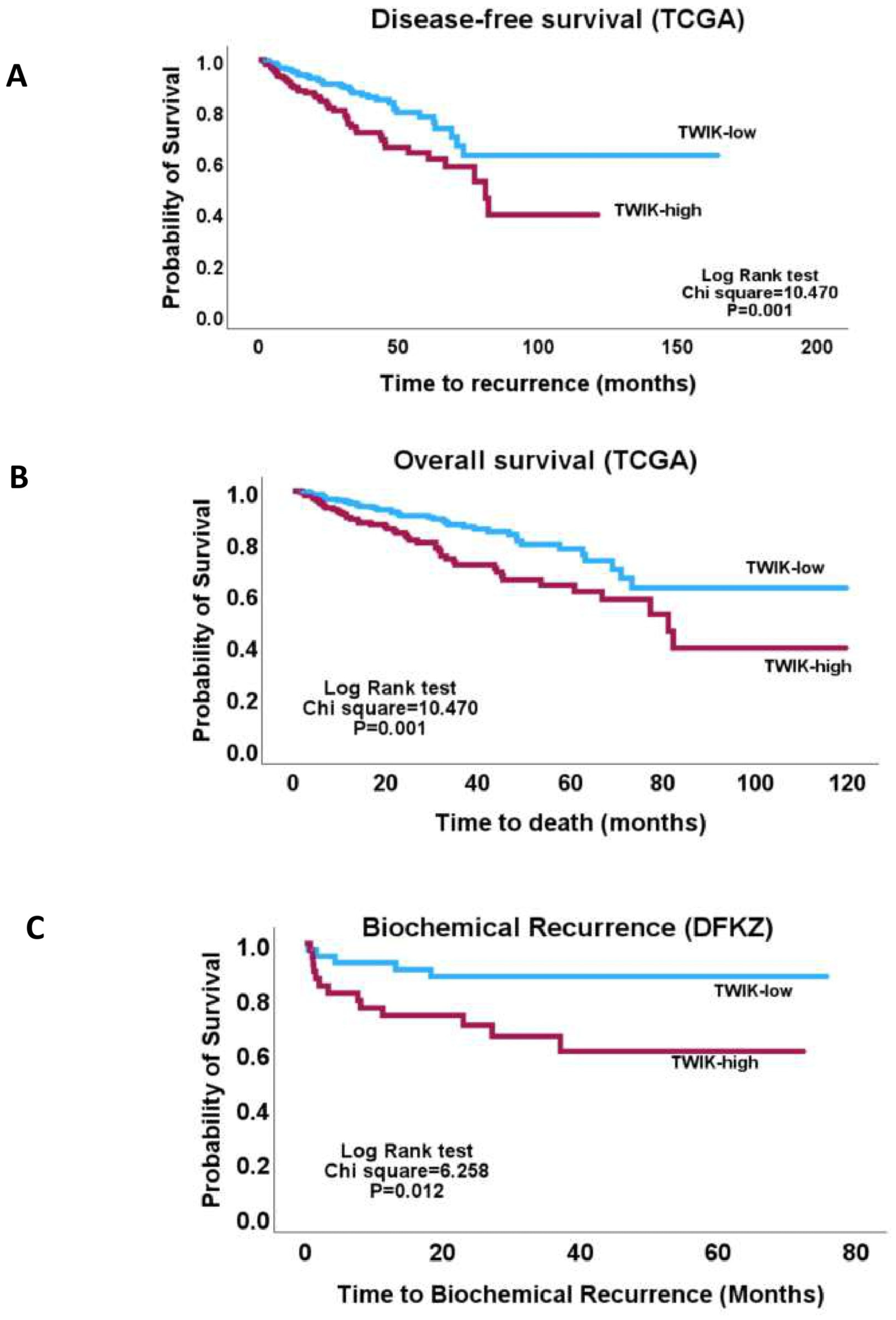 Biology 14 00569 g003