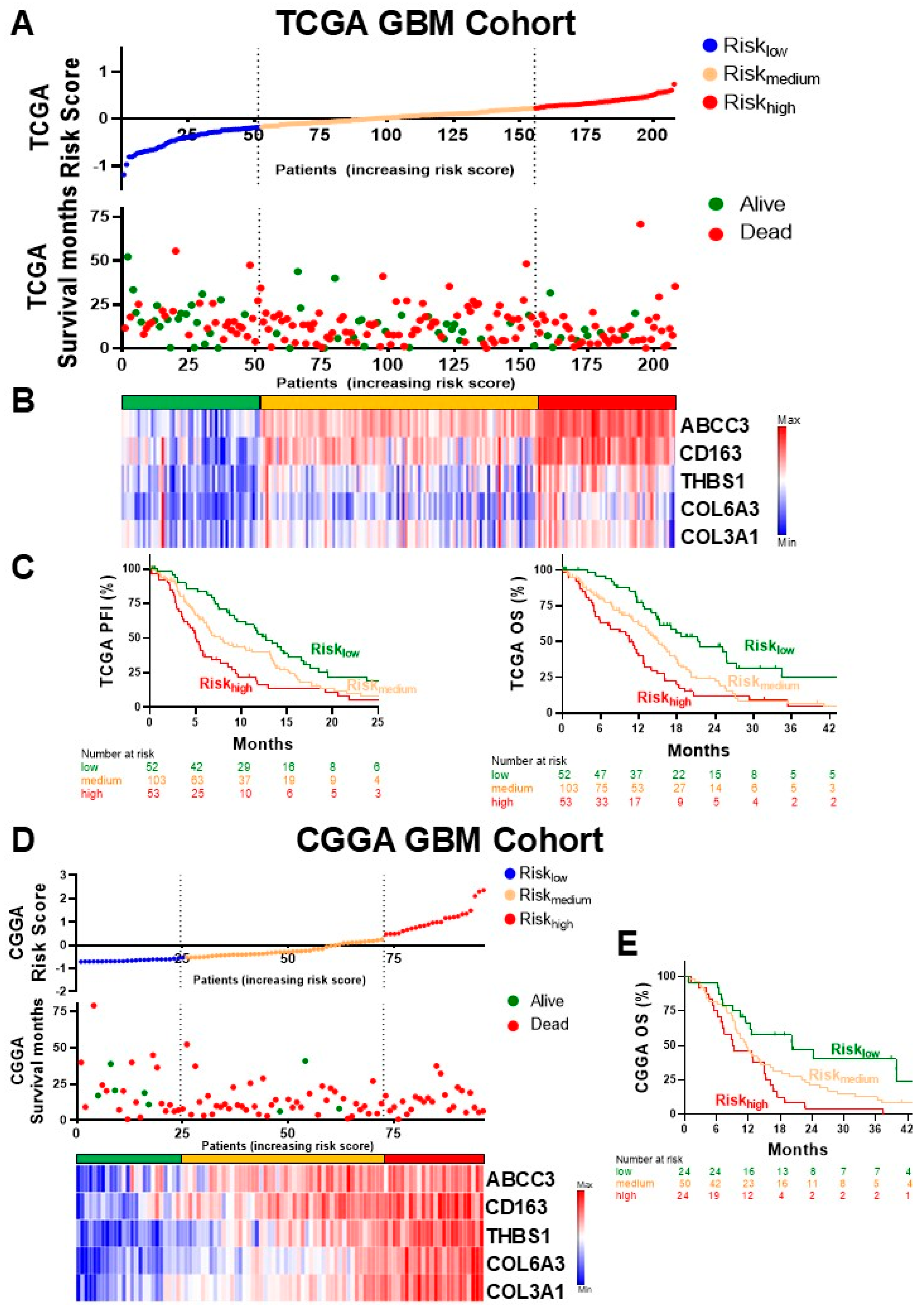 Biology 14 00572 g002