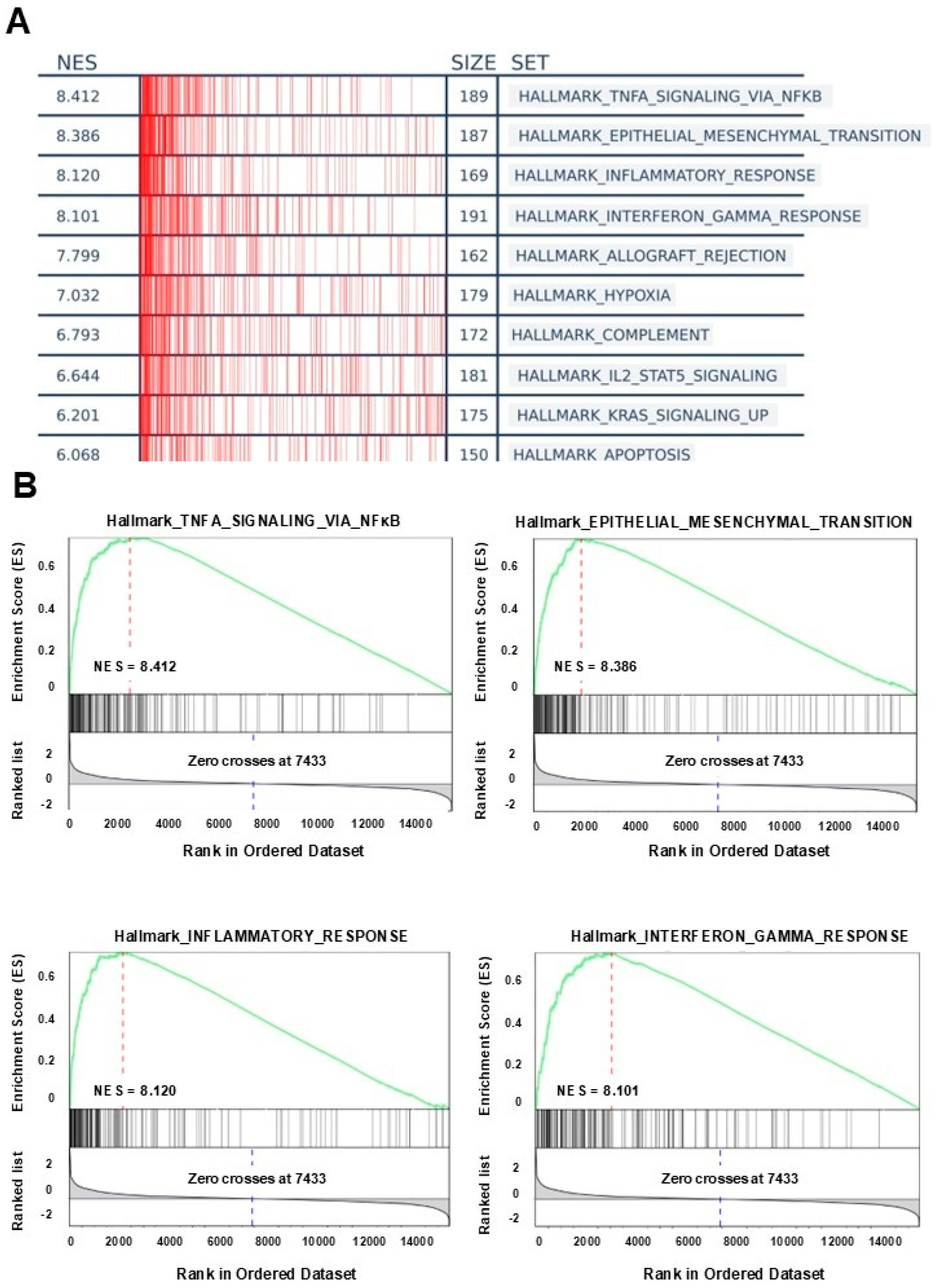 Biology 14 00572 g004