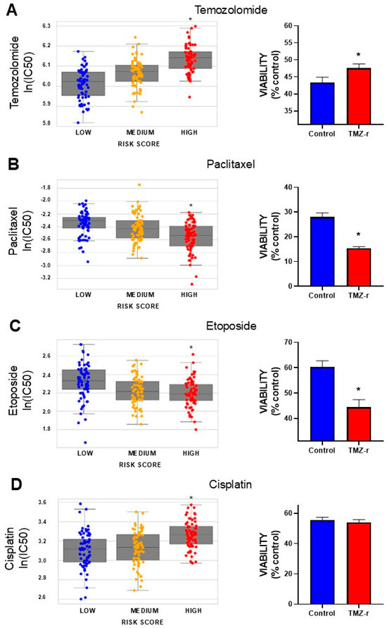 55£ Eシリーズ50£、Gシリーズ5£ セット Predicting Treatment Outcomes in Glioblastoma: A Risk Score