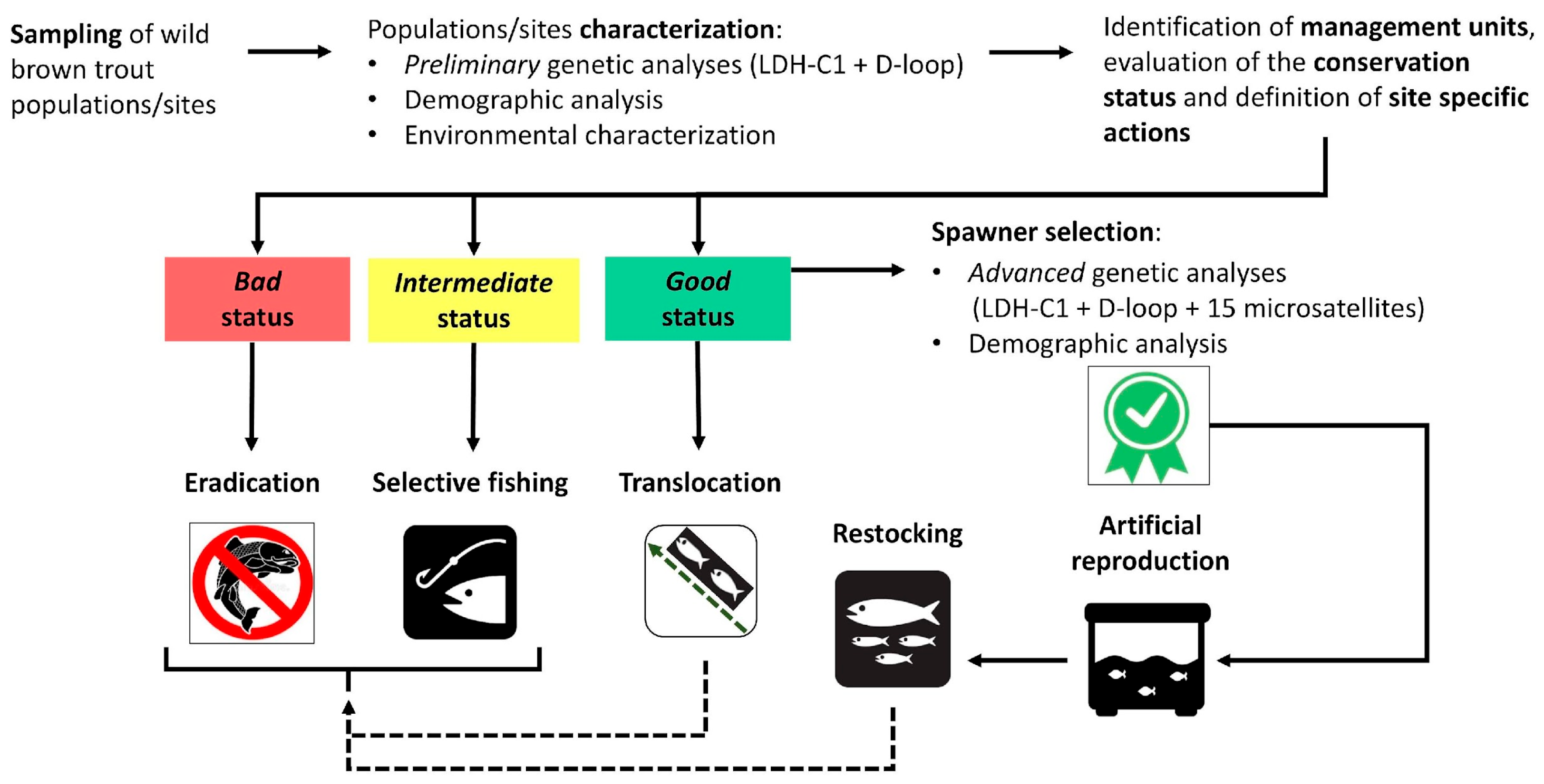 Biology 14 00573 g003