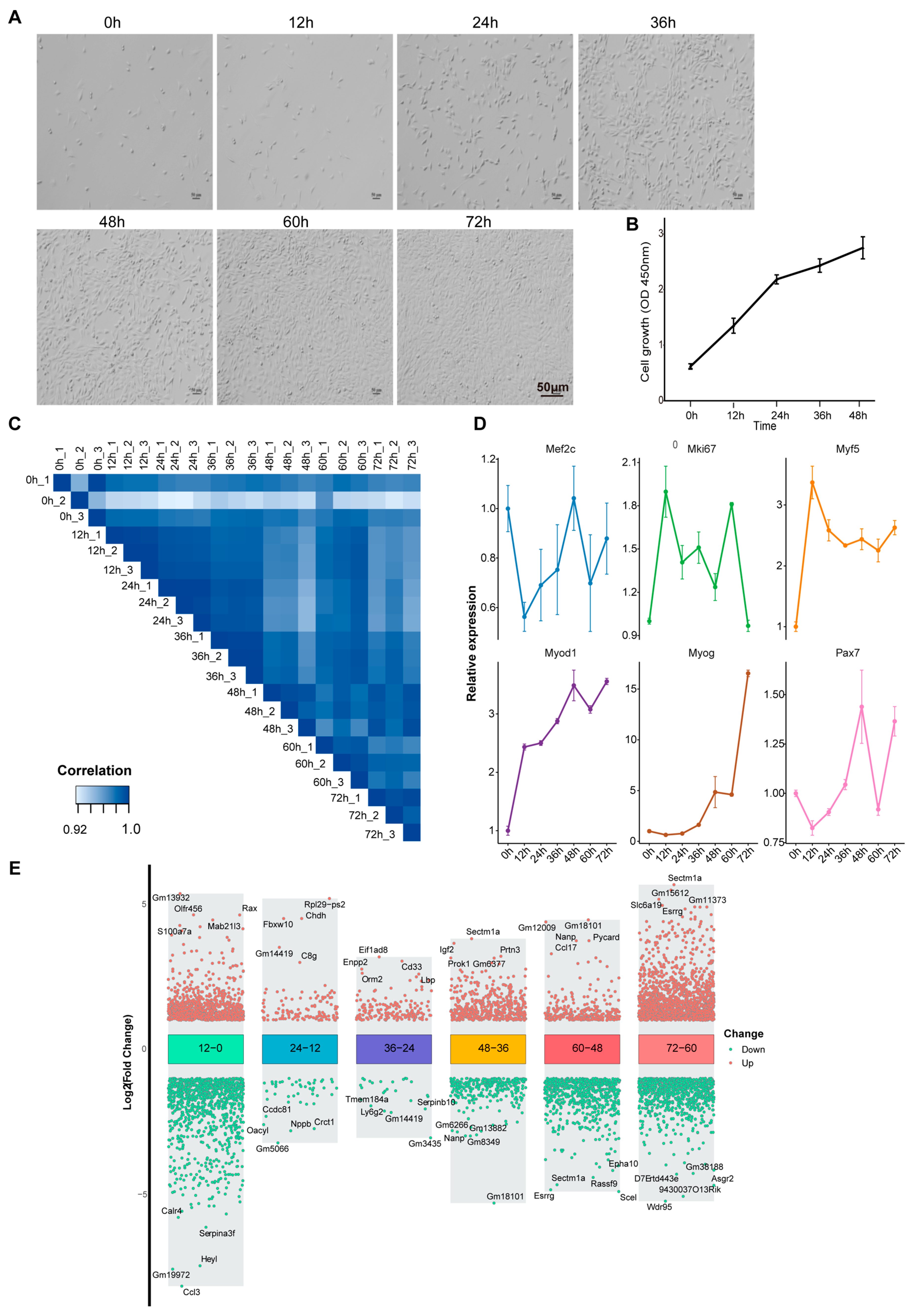 Biology 14 00574 g001