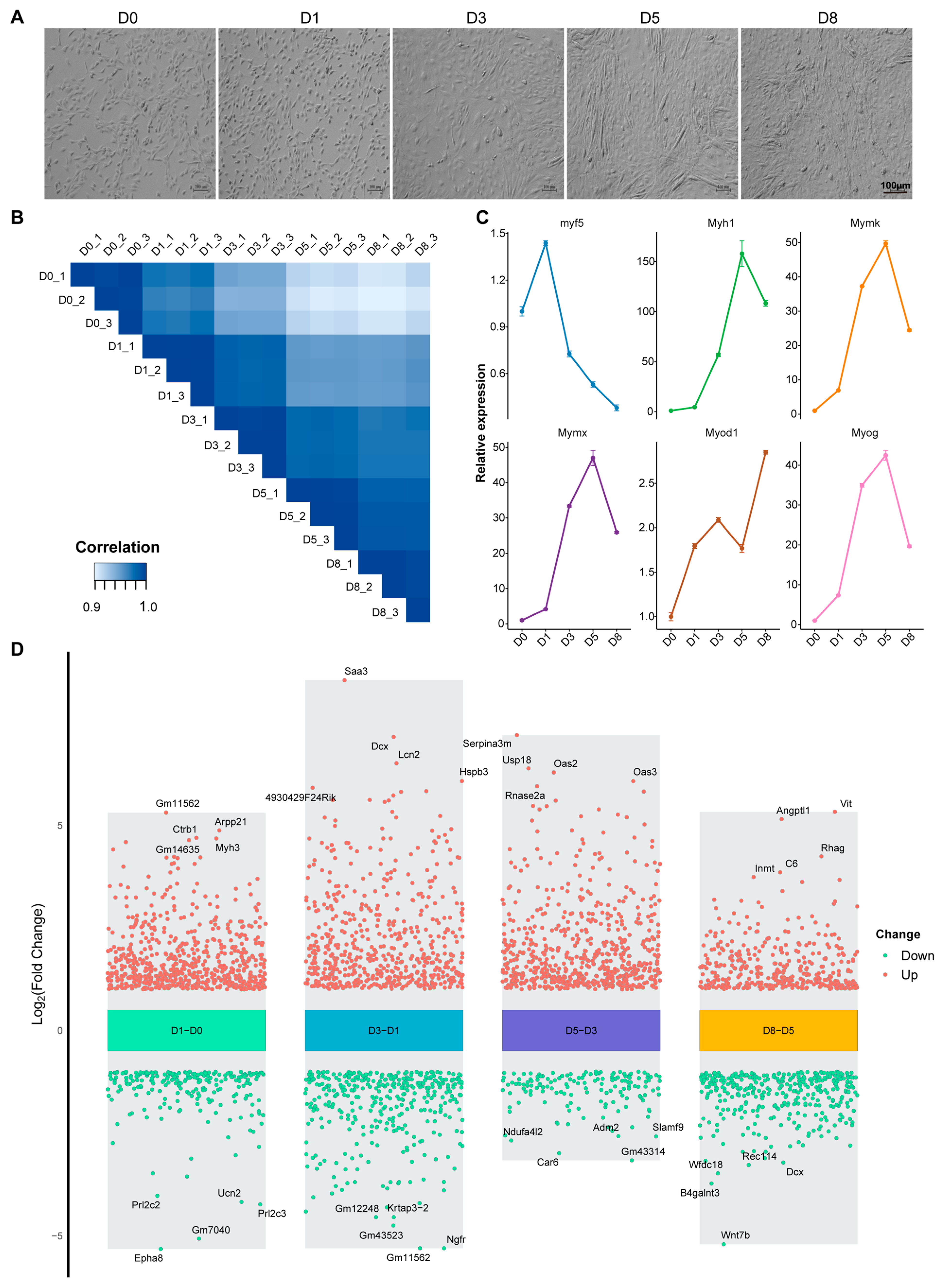 Biology 14 00574 g002