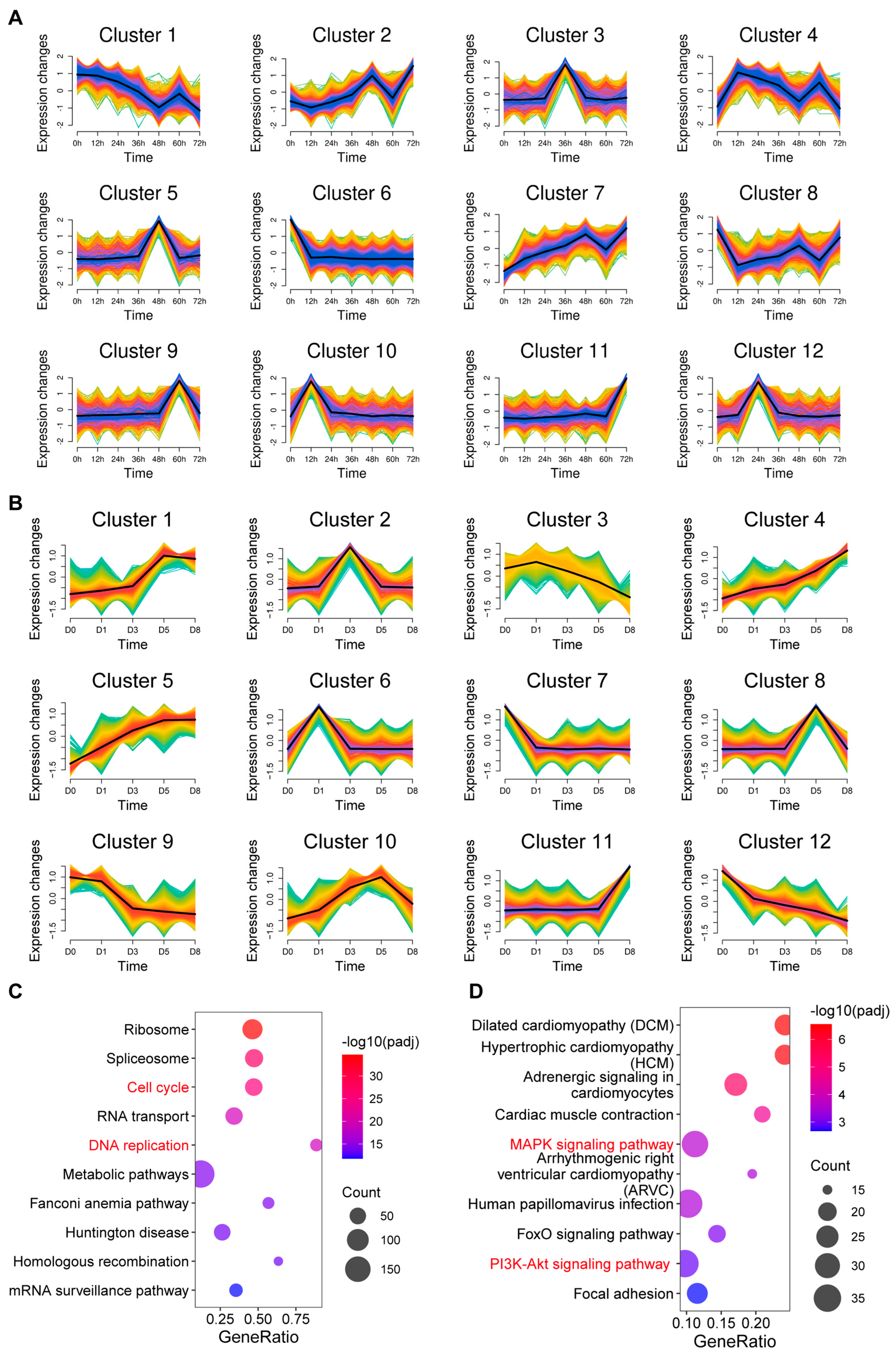 Biology 14 00574 g003