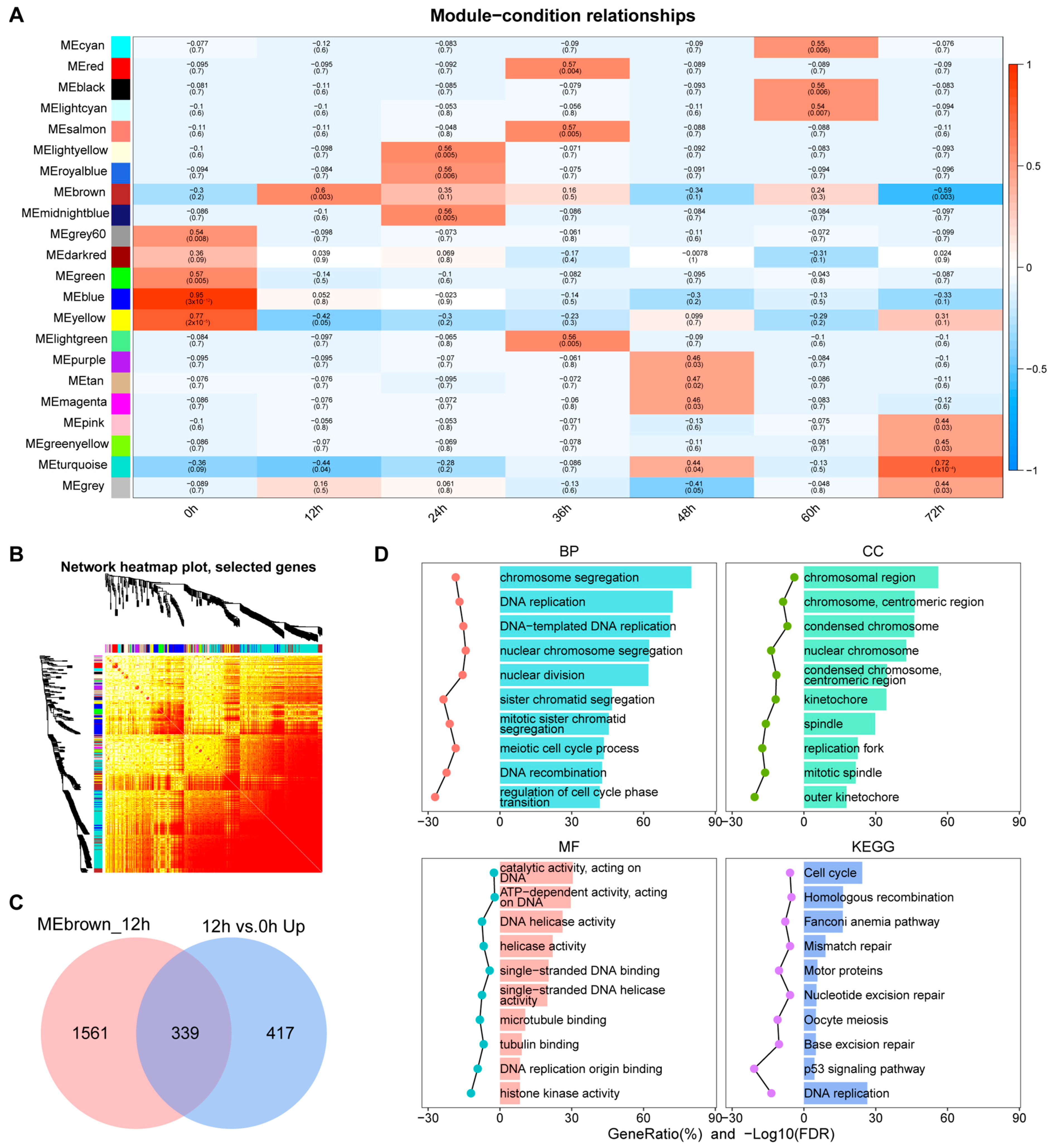 Biology 14 00574 g004