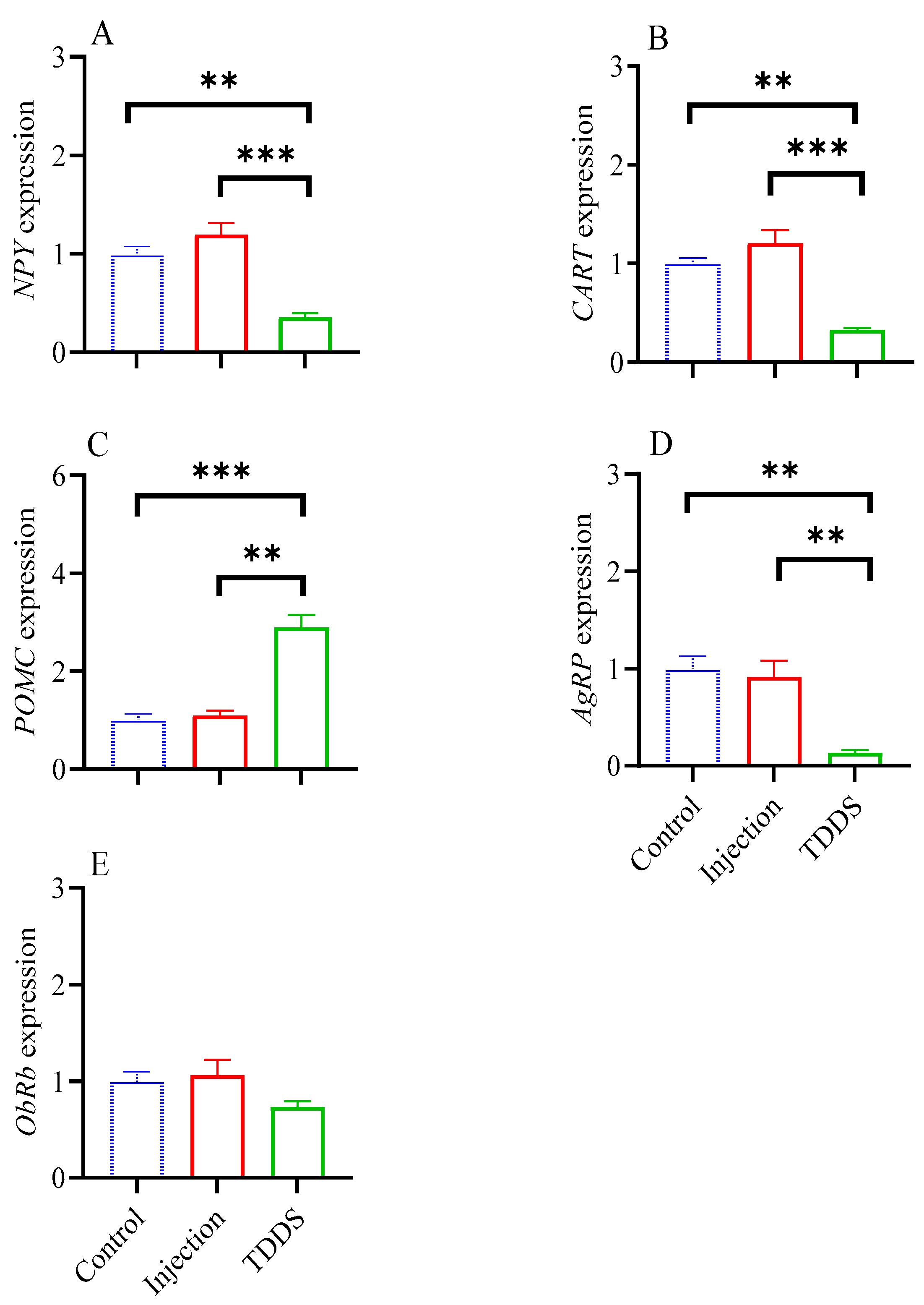 Biology 14 00575 g005