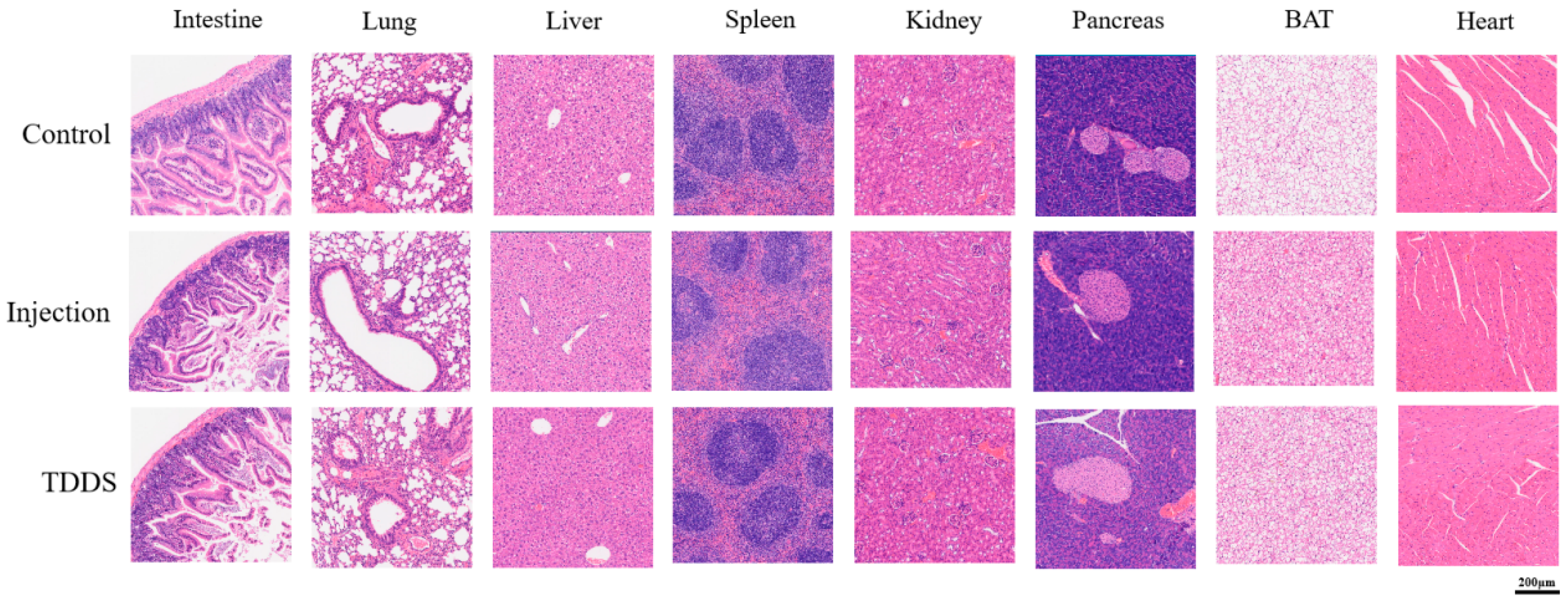Biology 14 00575 g008