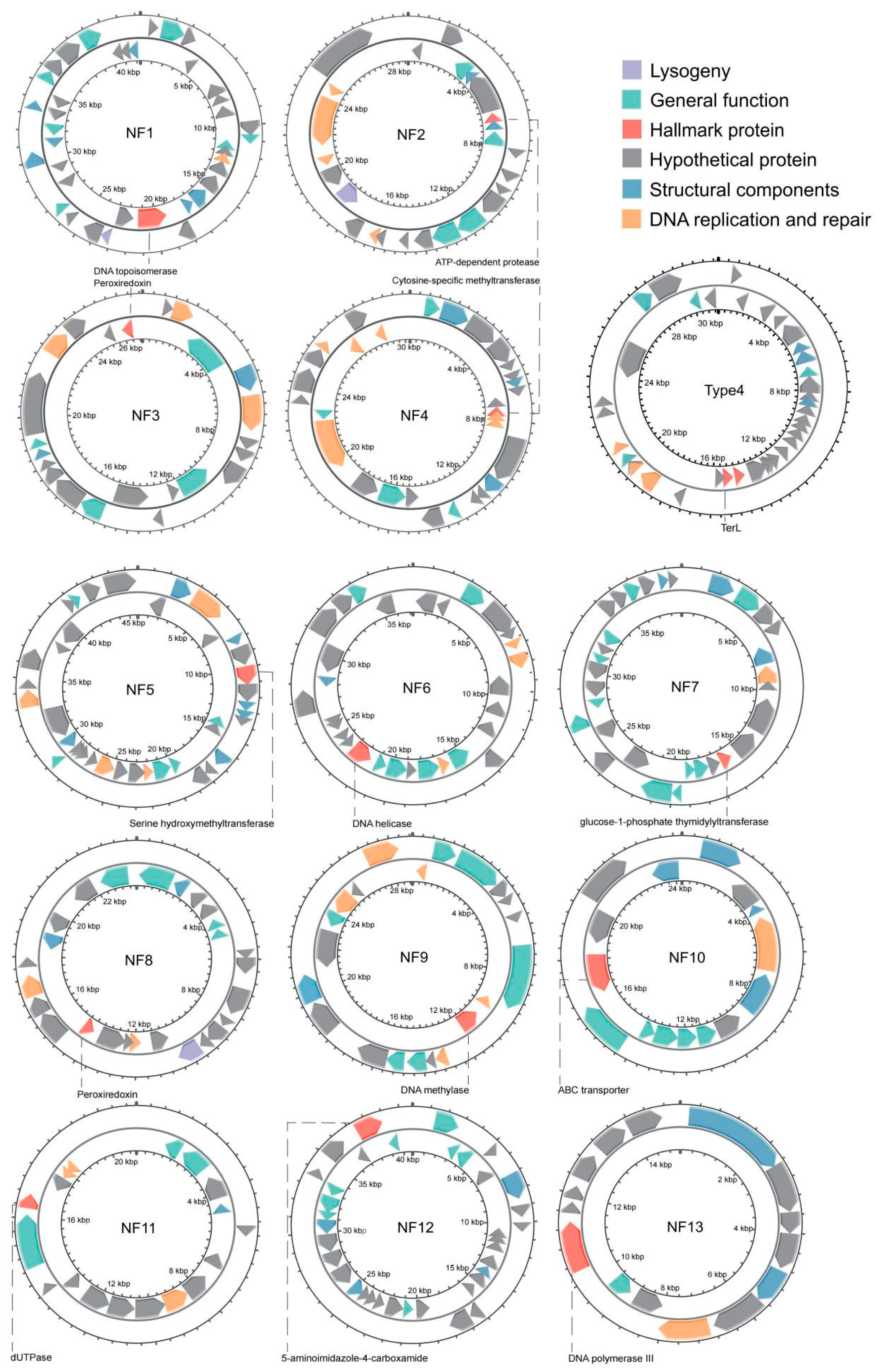 Biology 14 00576 g003