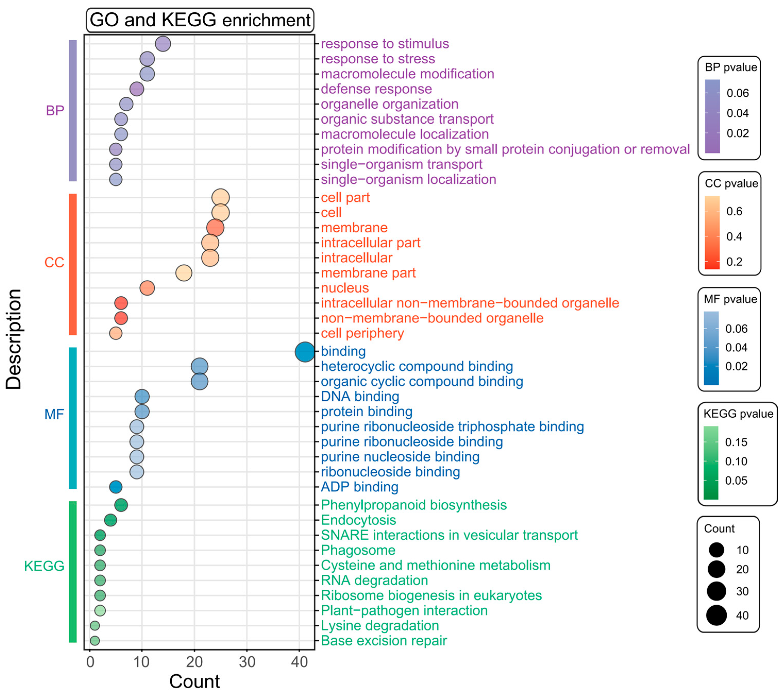 Biology 14 00580 g003 Biology 14 00580 g003