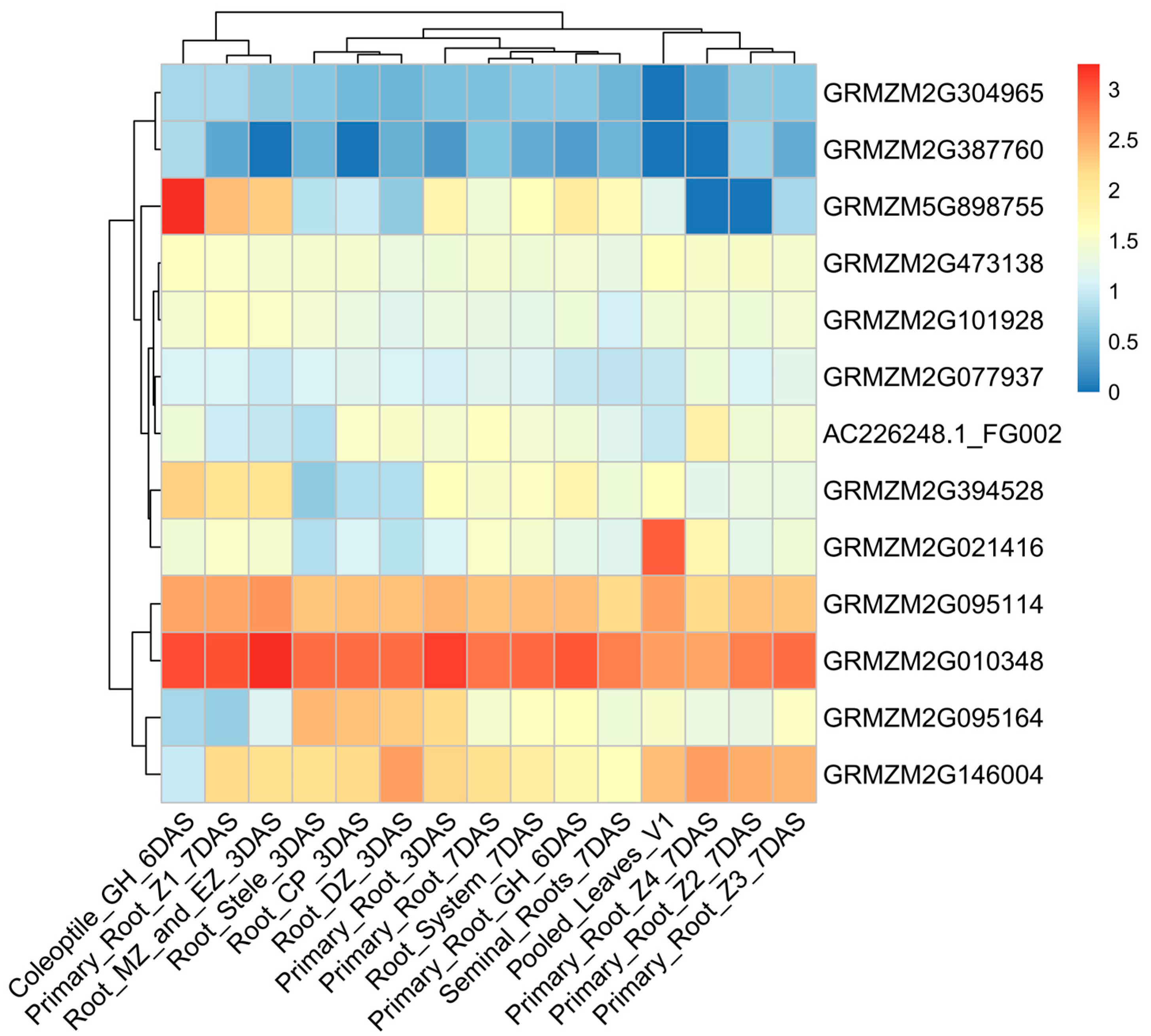 Biology 14 00580 g004 Biology 14 00580 g004