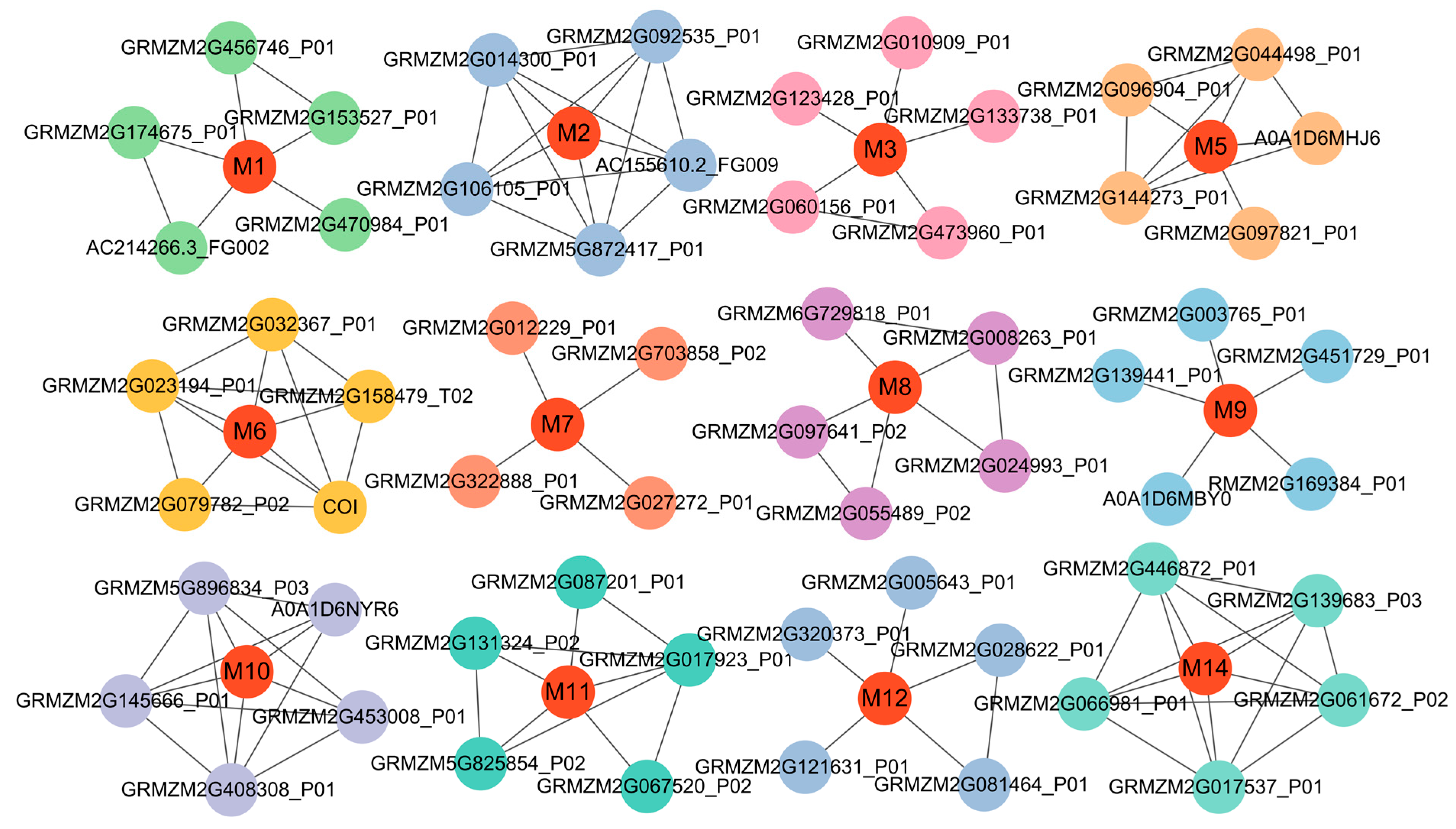 Biology 14 00580 g005 Biology 14 00580 g005