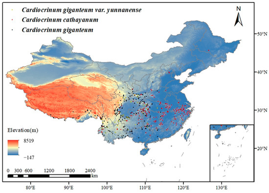 Changes in the Distribution Range of the Genus Cardiocrinum