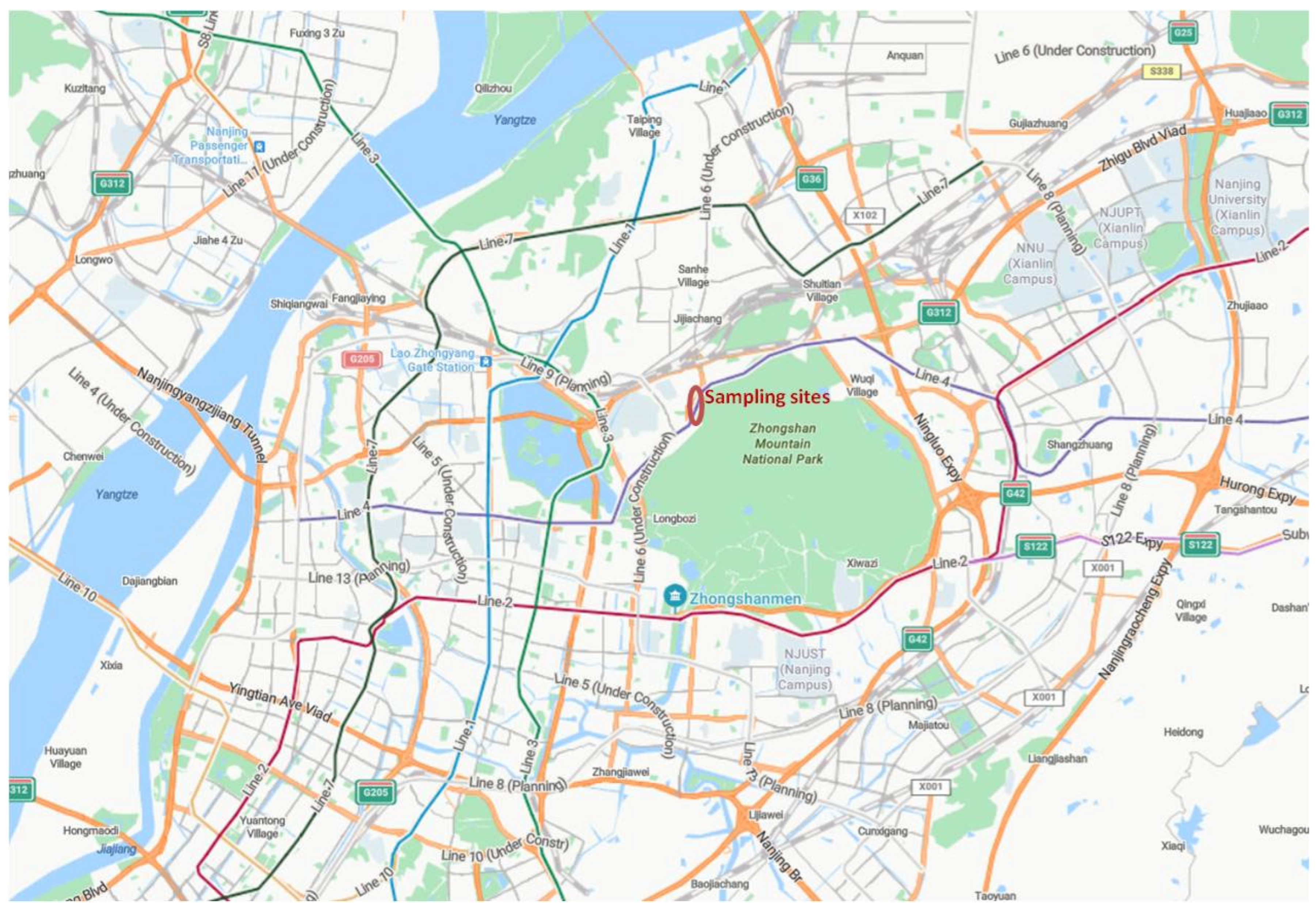 Biology 14 00583 g001