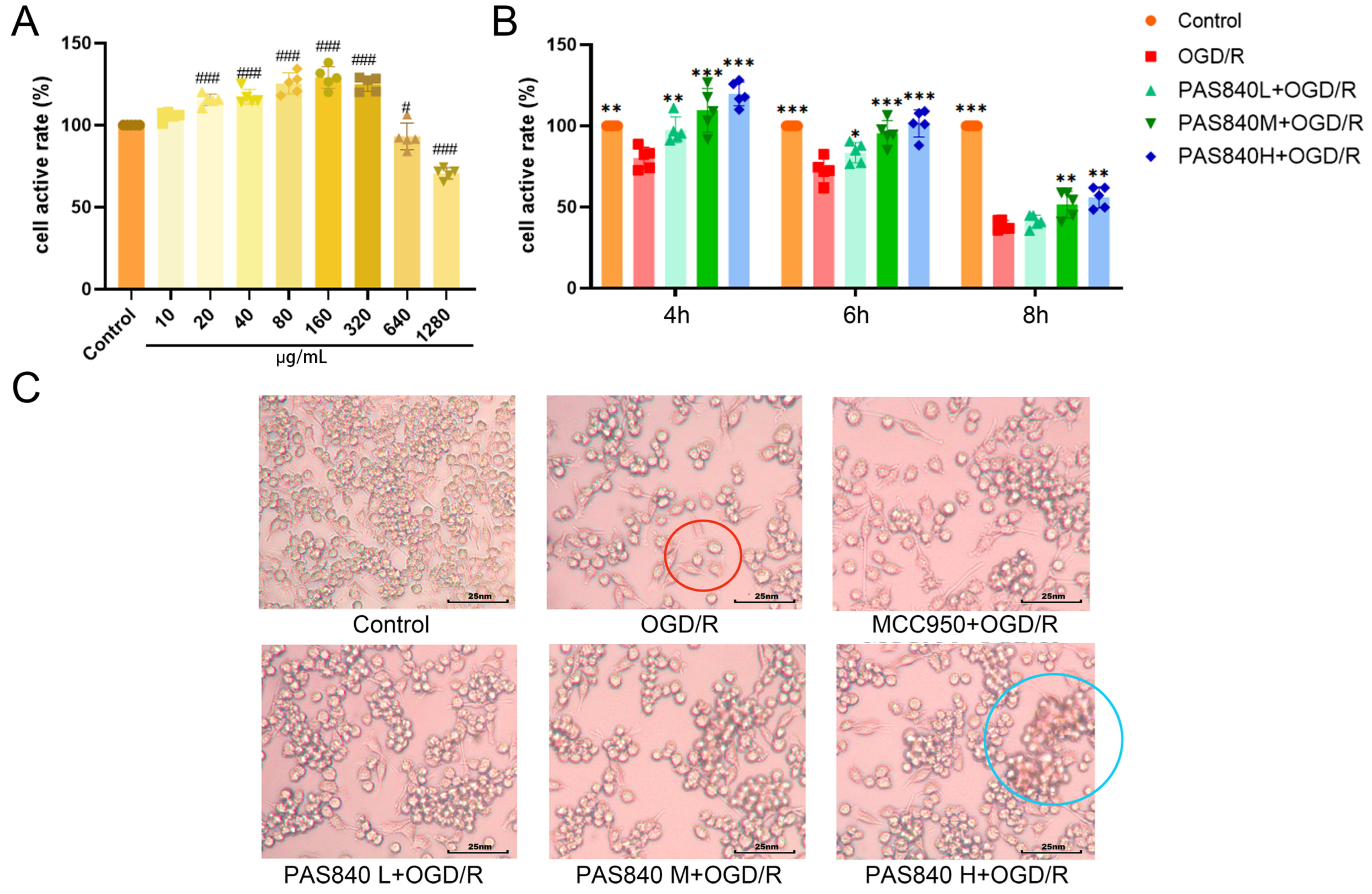 Biology 14 00589 g006