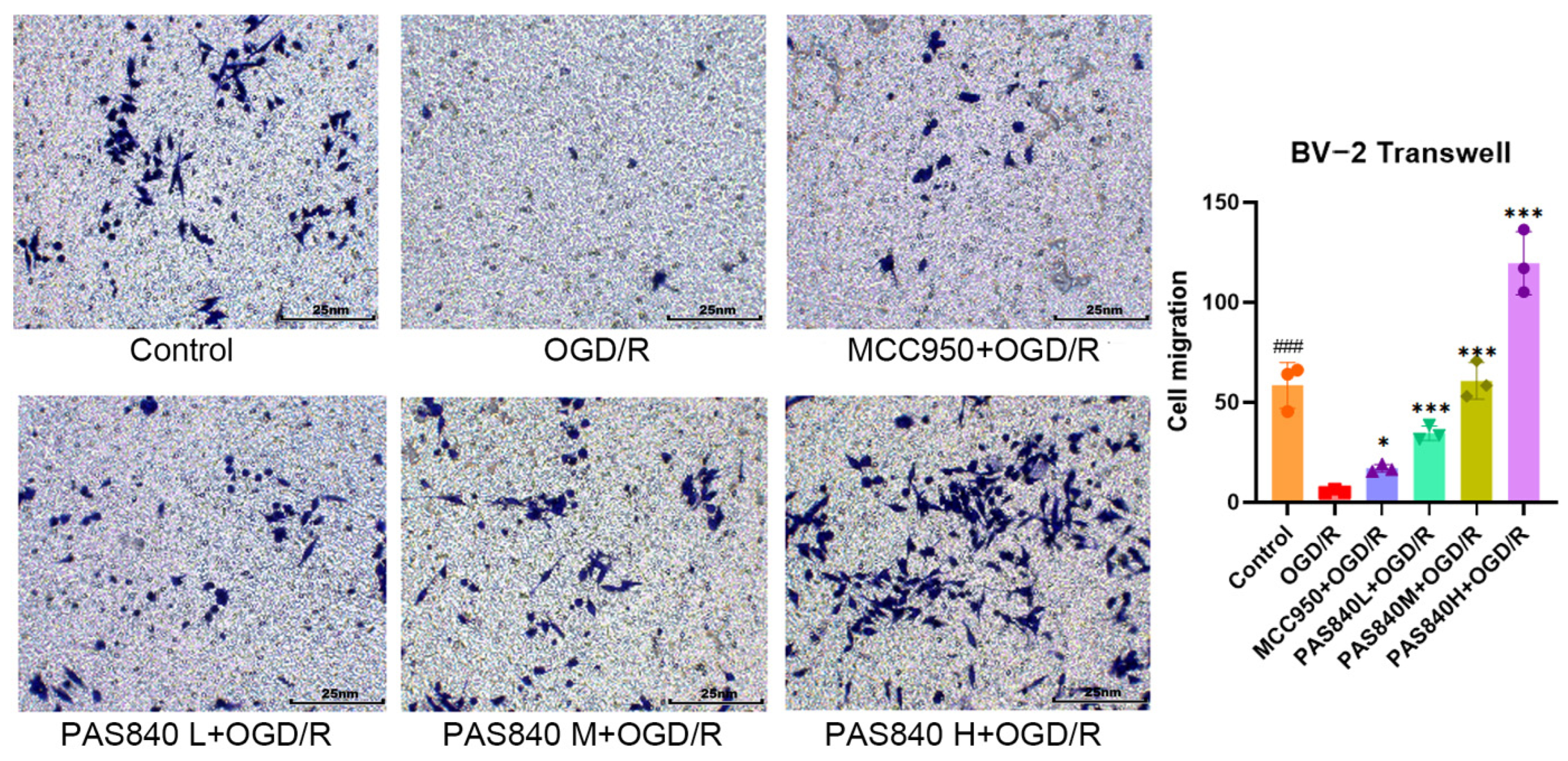 Biology 14 00589 g007