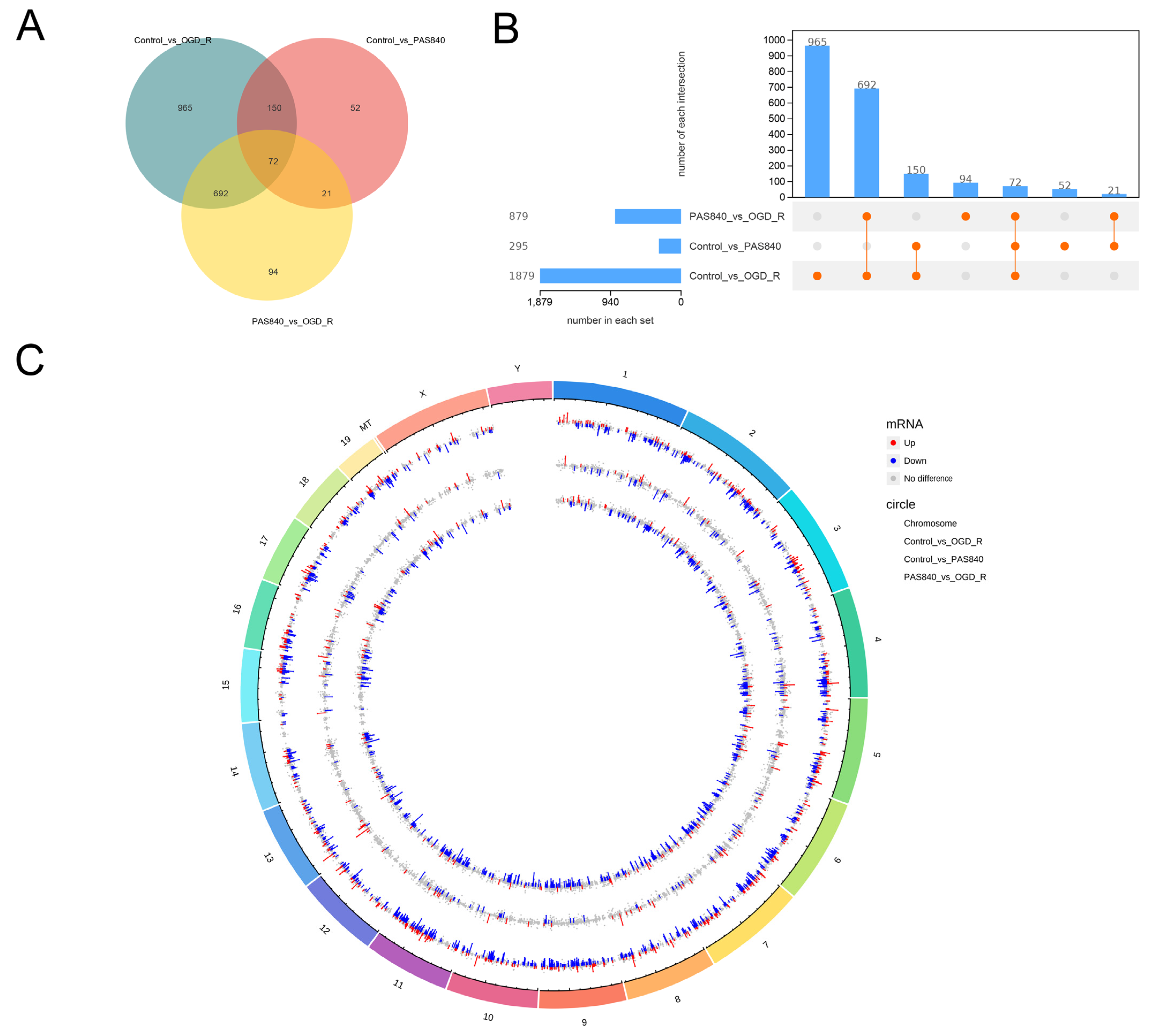 Biology 14 00589 g011