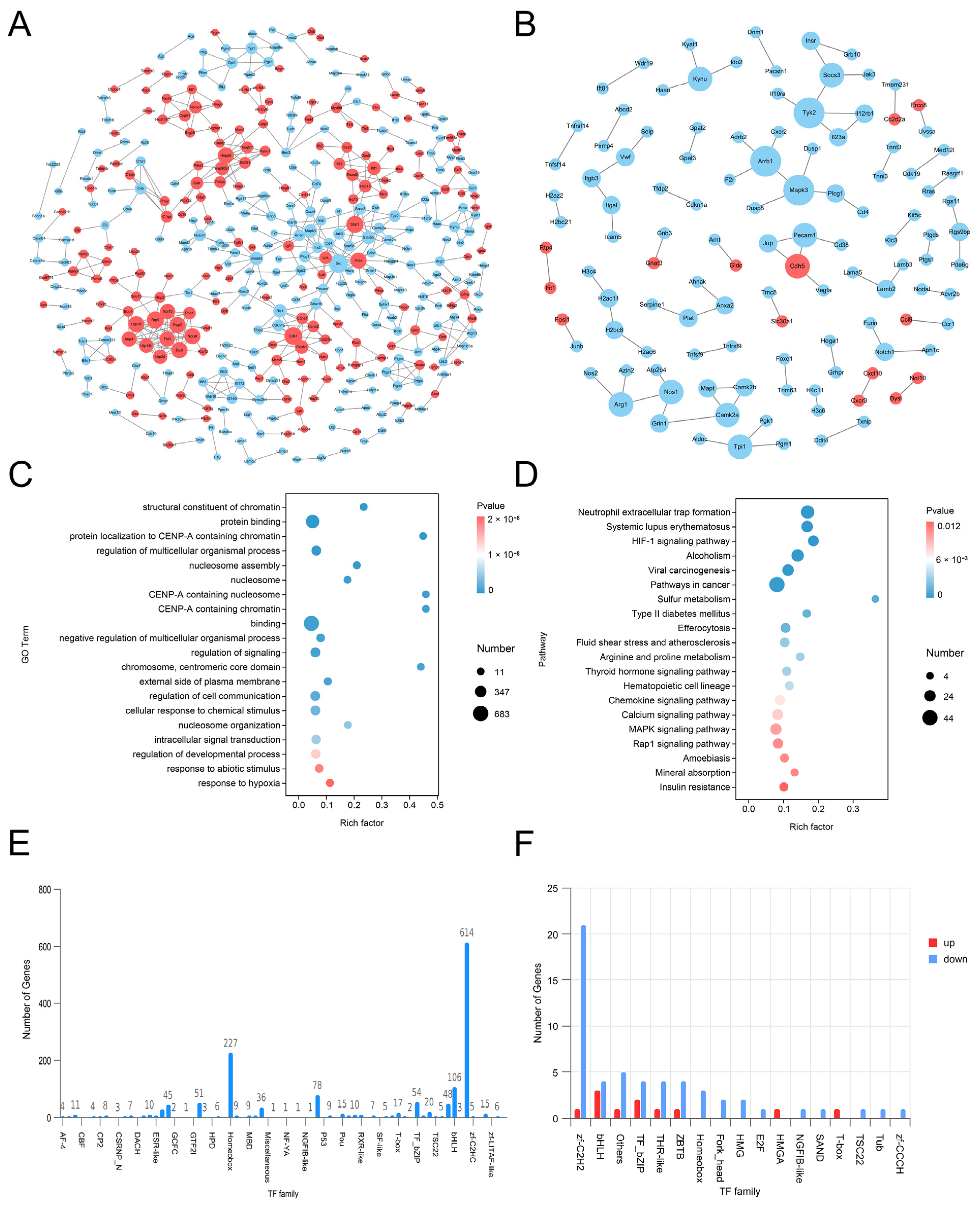 Biology 14 00589 g012