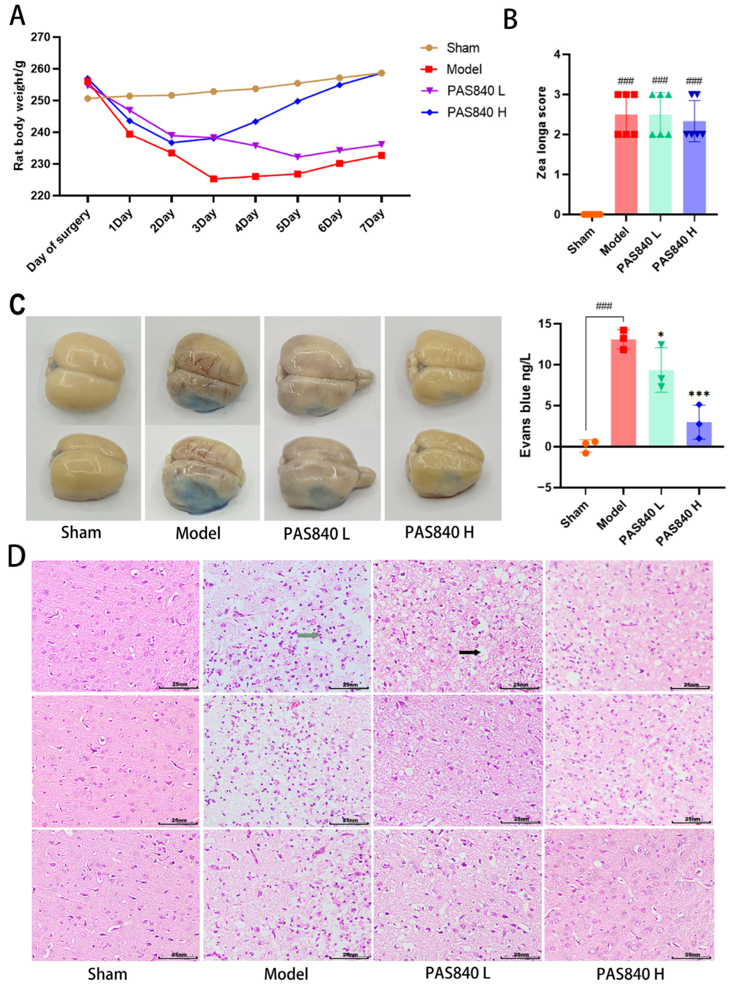 Biology 14 00589 g013