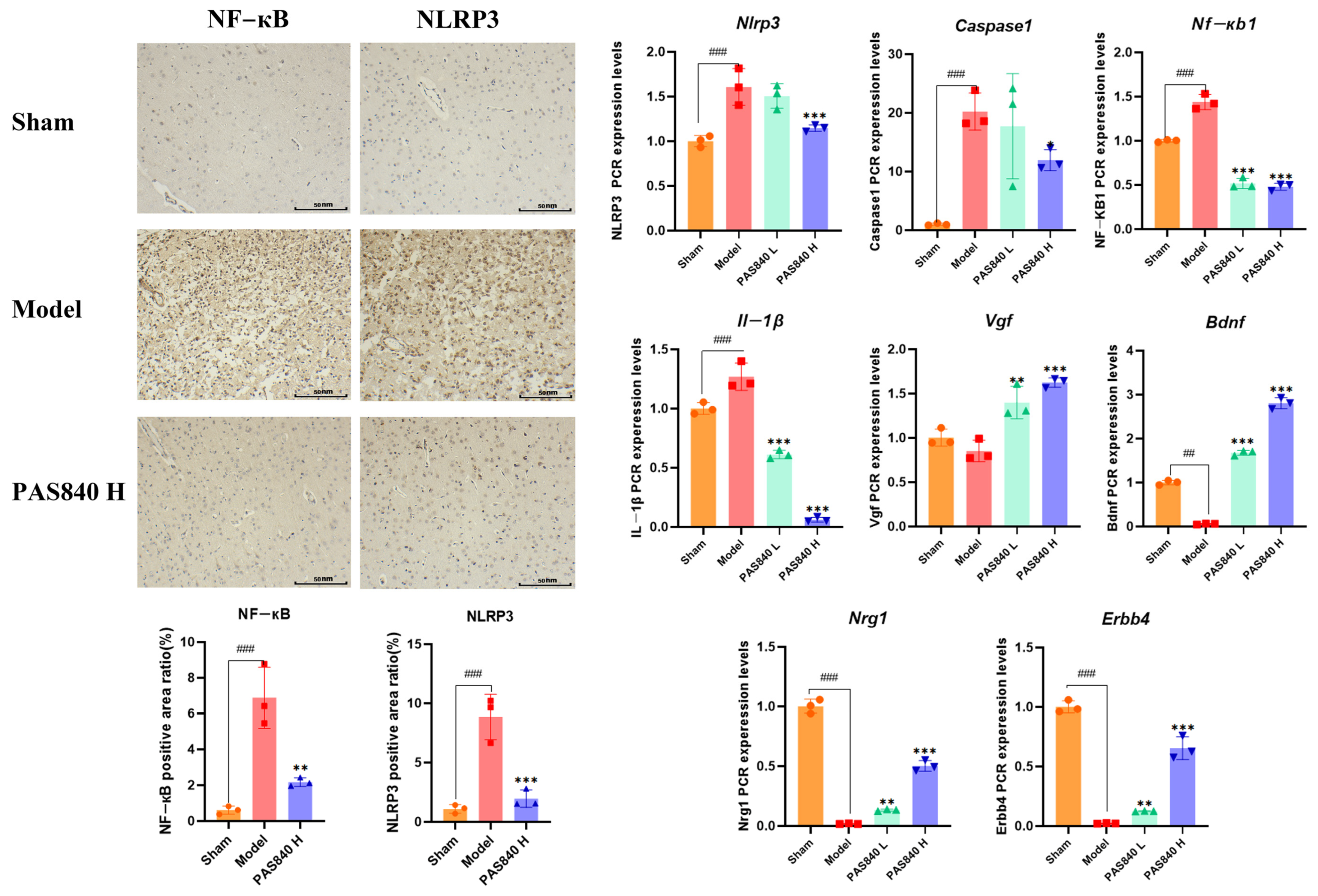 Biology 14 00589 g014