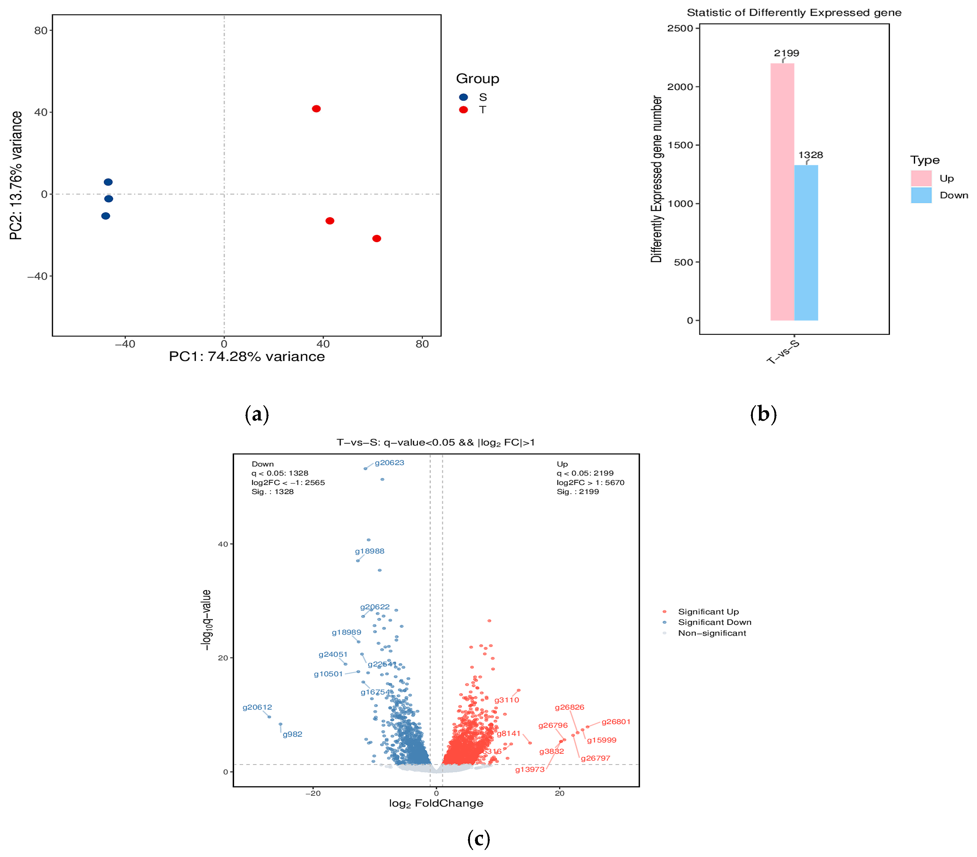 Biology 14 00591 g002