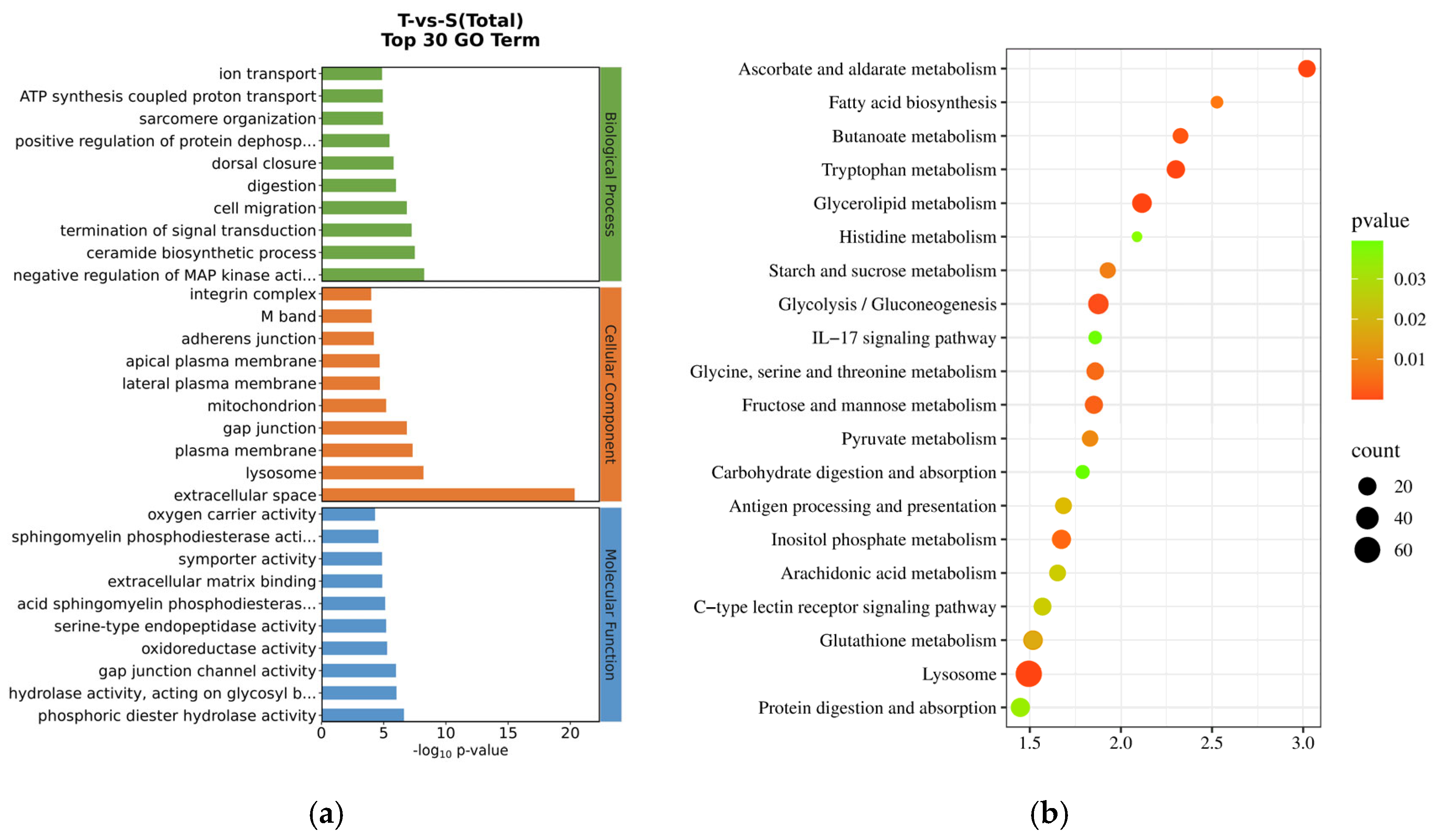 Biology 14 00591 g003