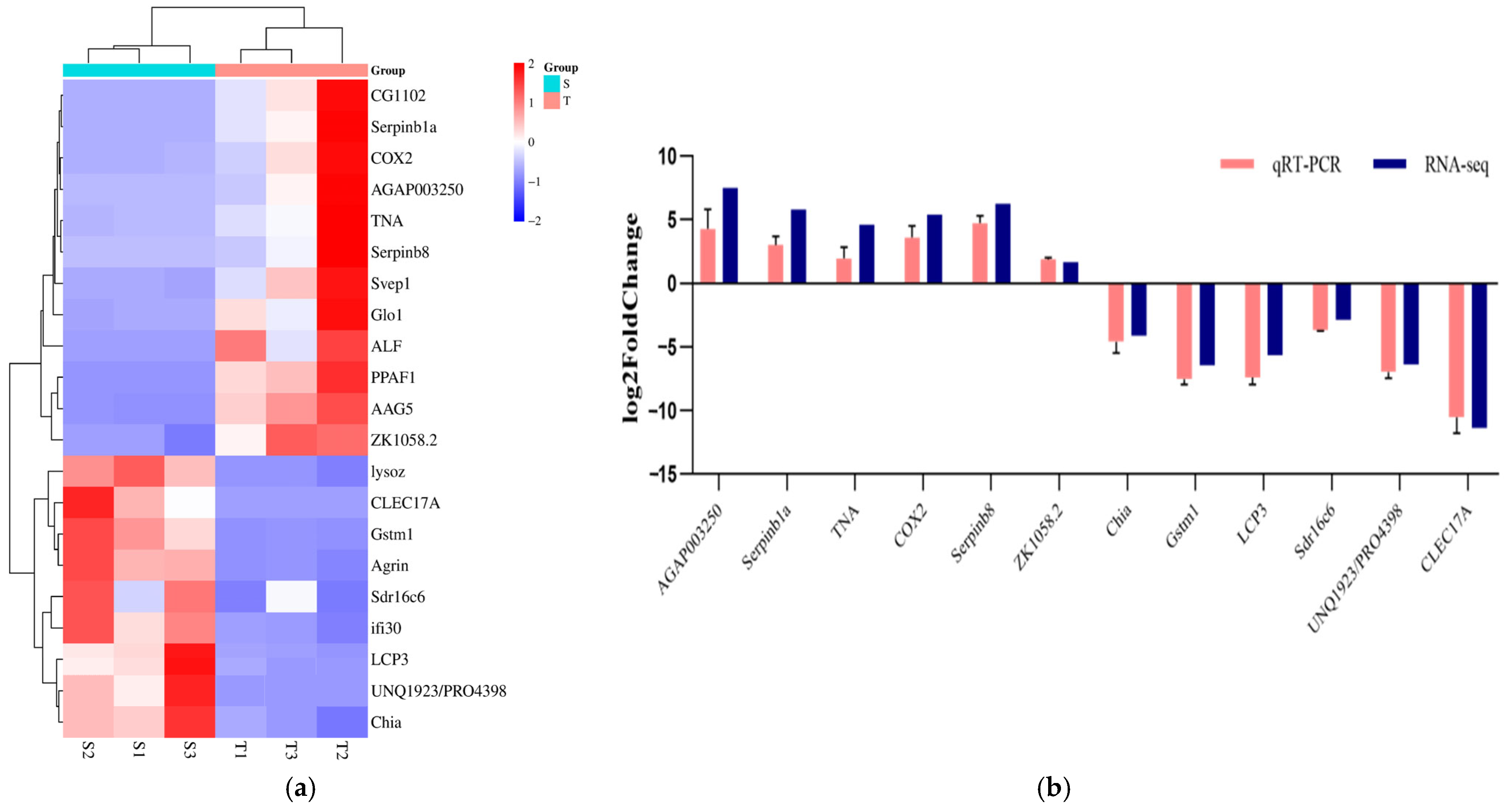 Biology 14 00591 g004