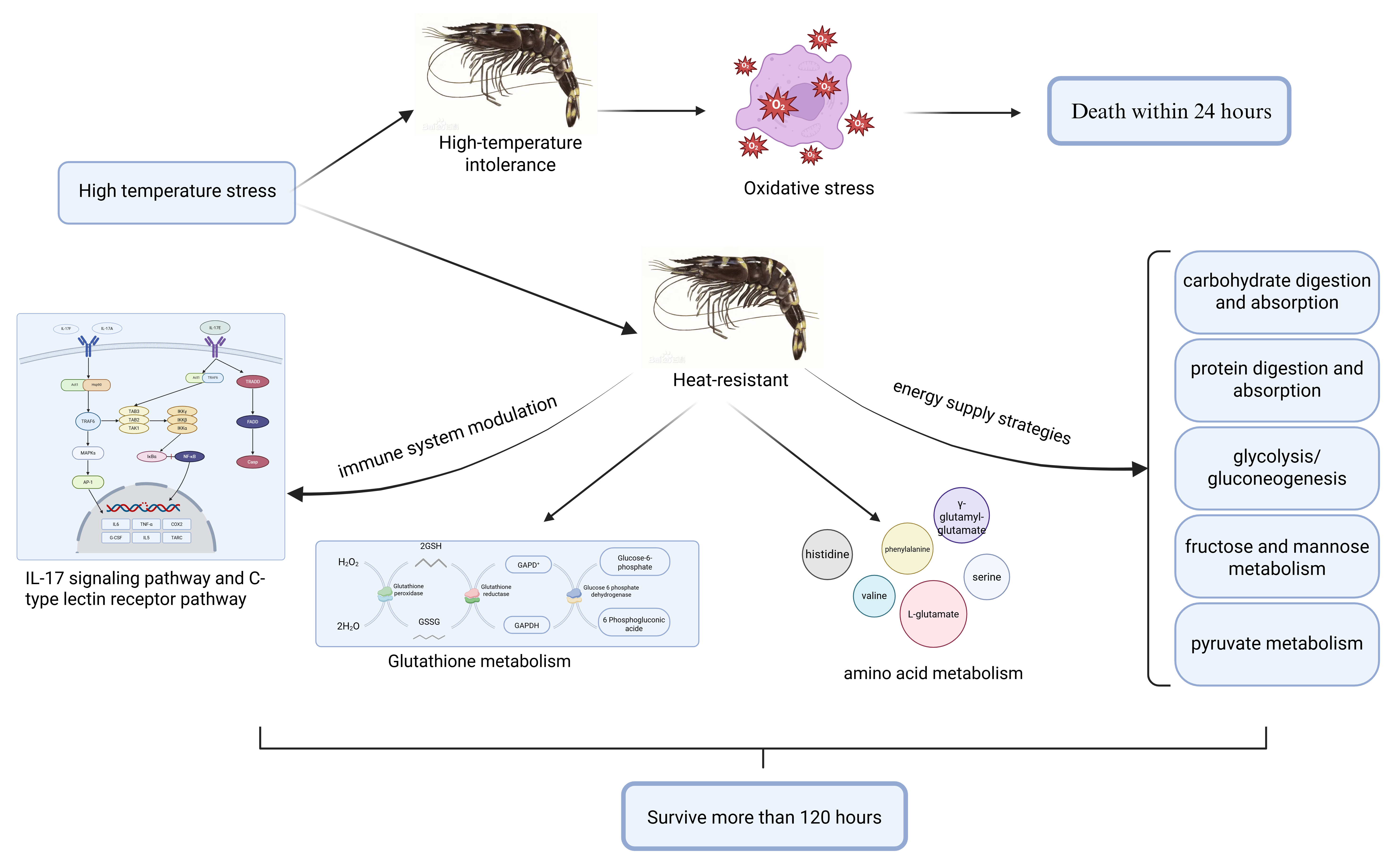 Biology 14 00591 g008
