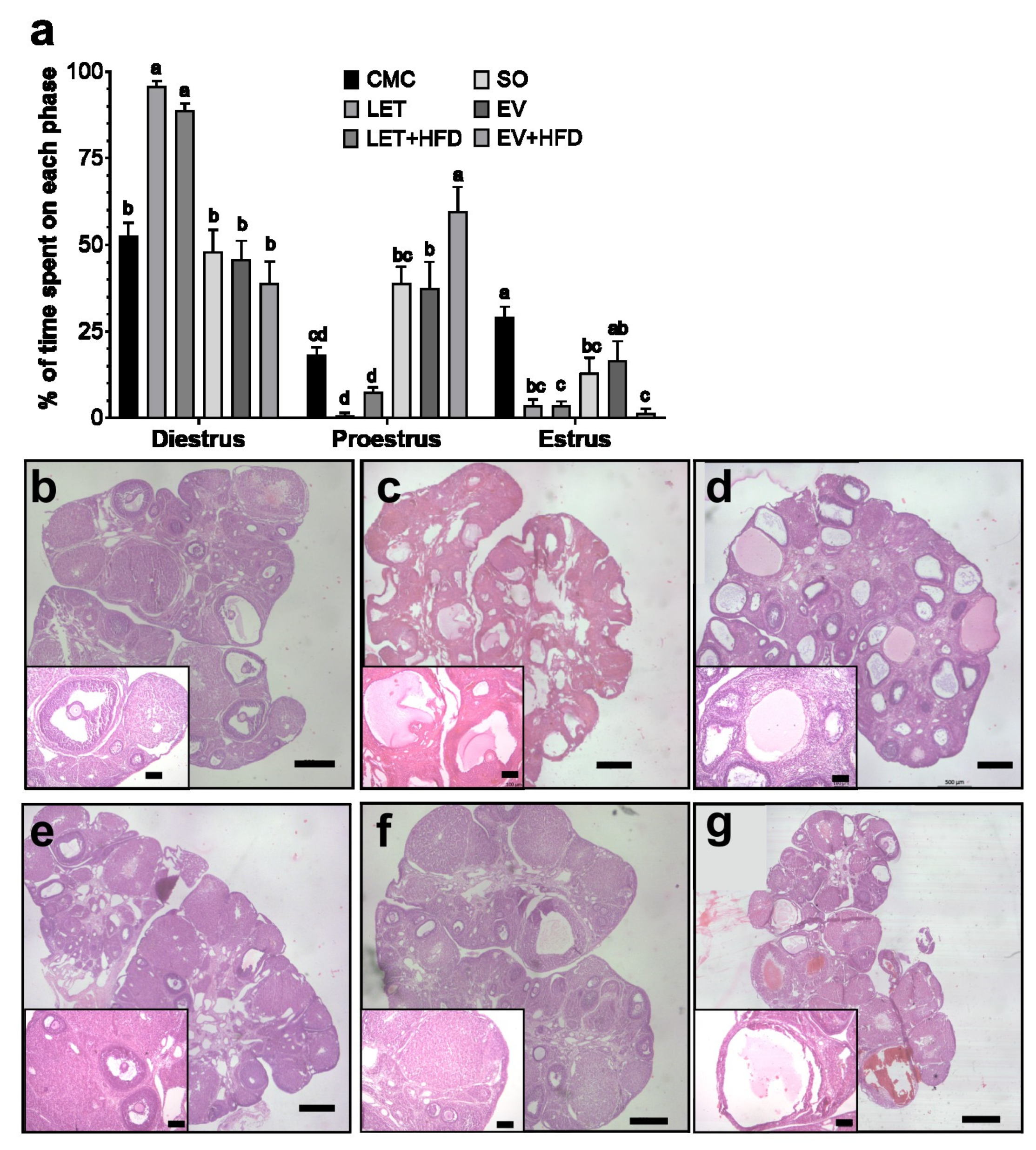 Biology 14 00592 g004