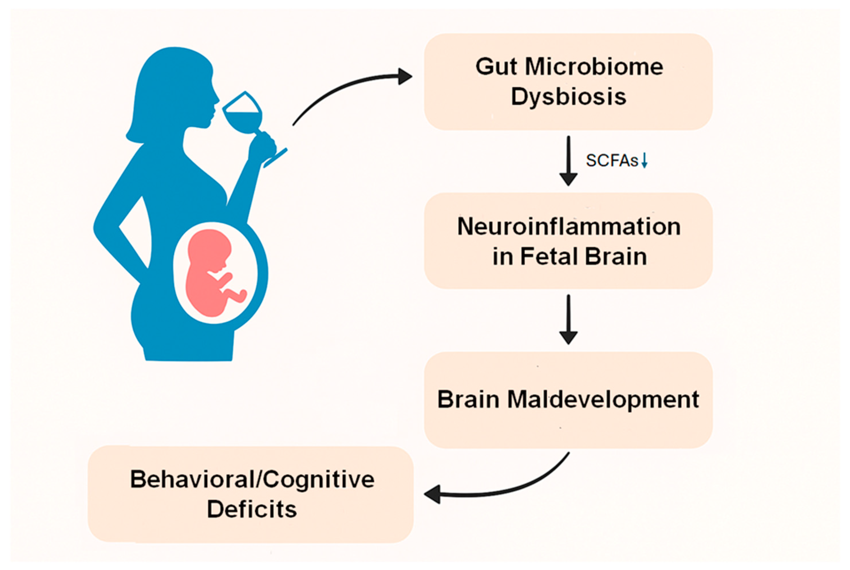 Biology 14 00593 g001