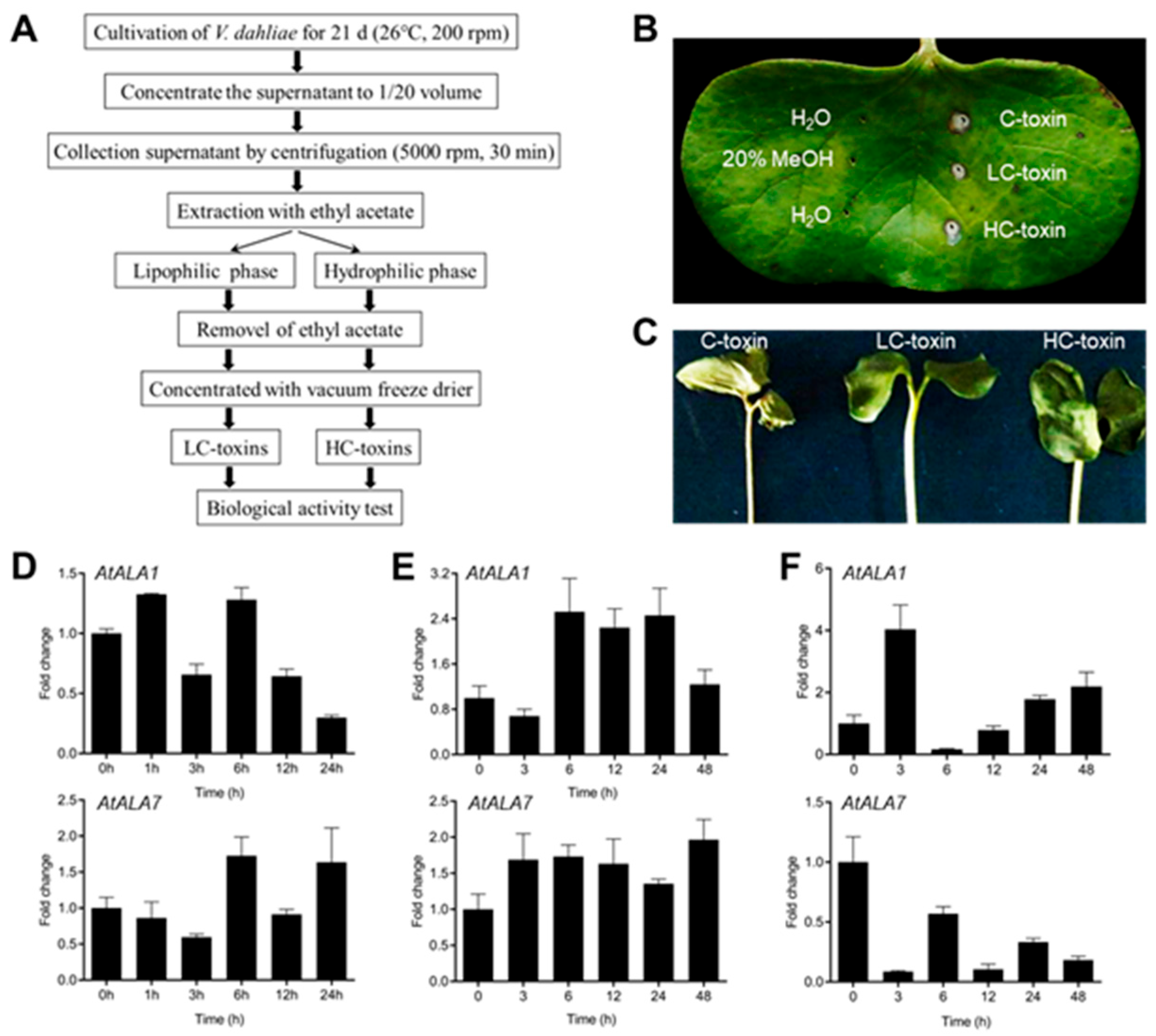 Biology 14 00595 g001