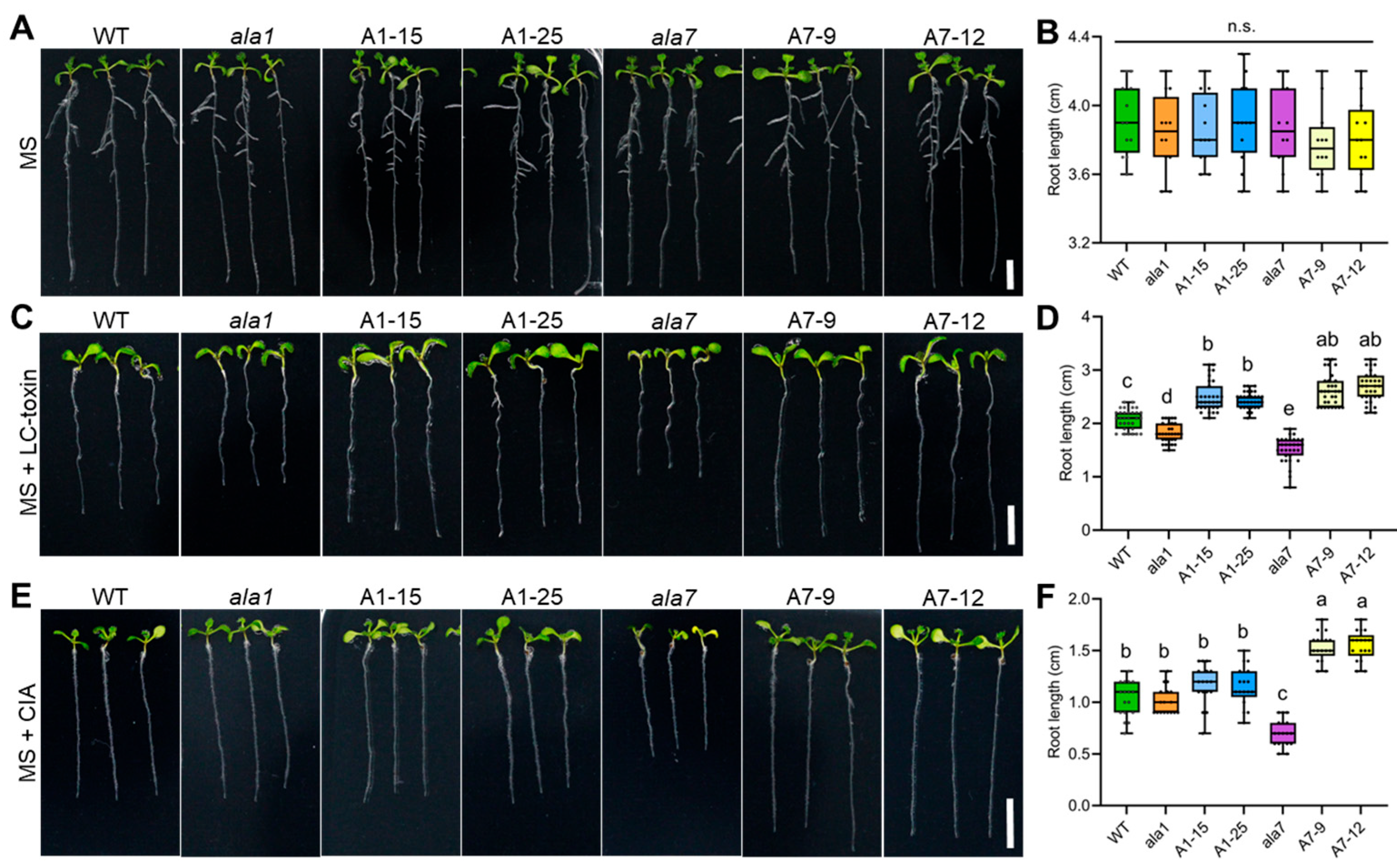 Biology 14 00595 g002