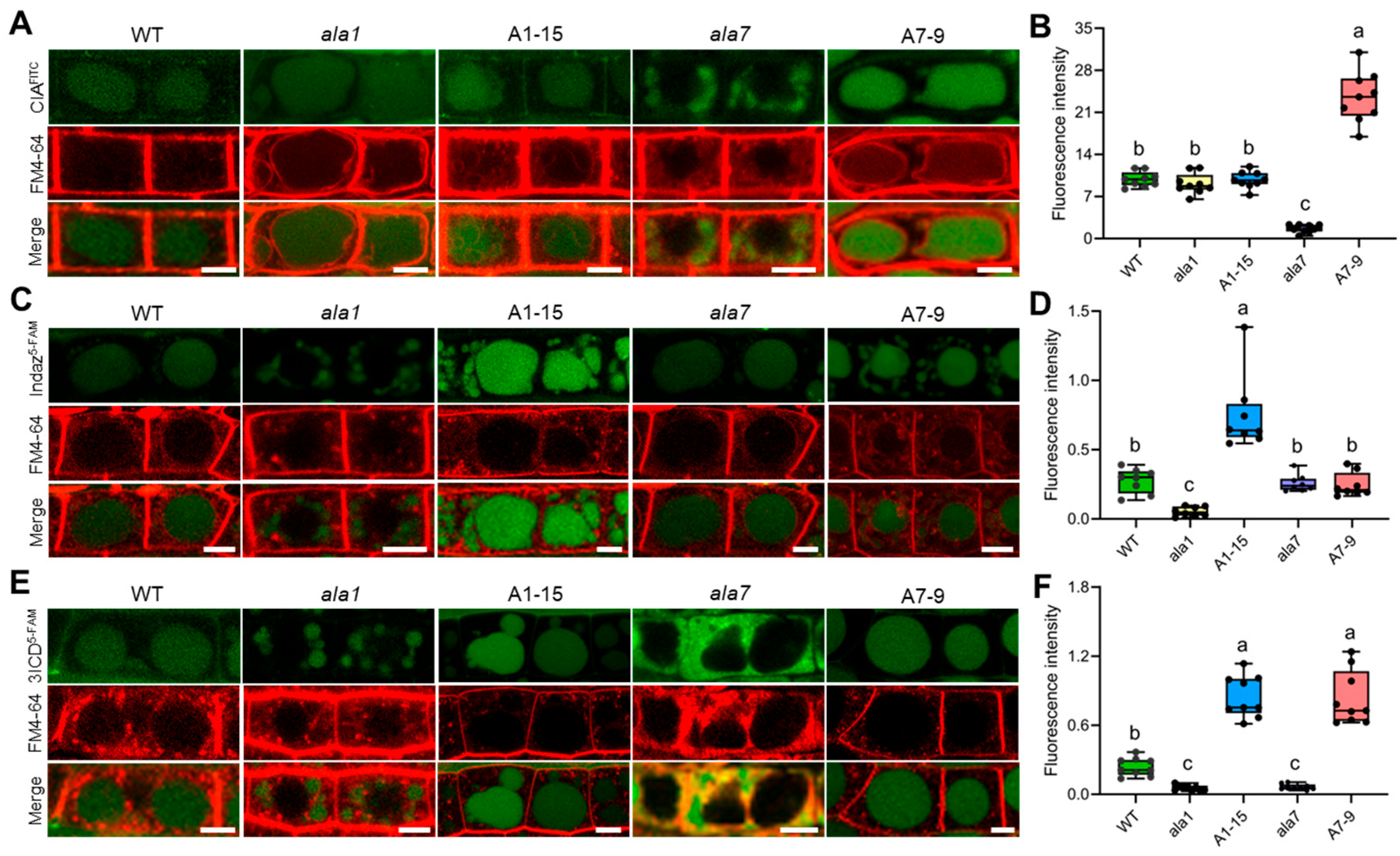 Biology 14 00595 g005
