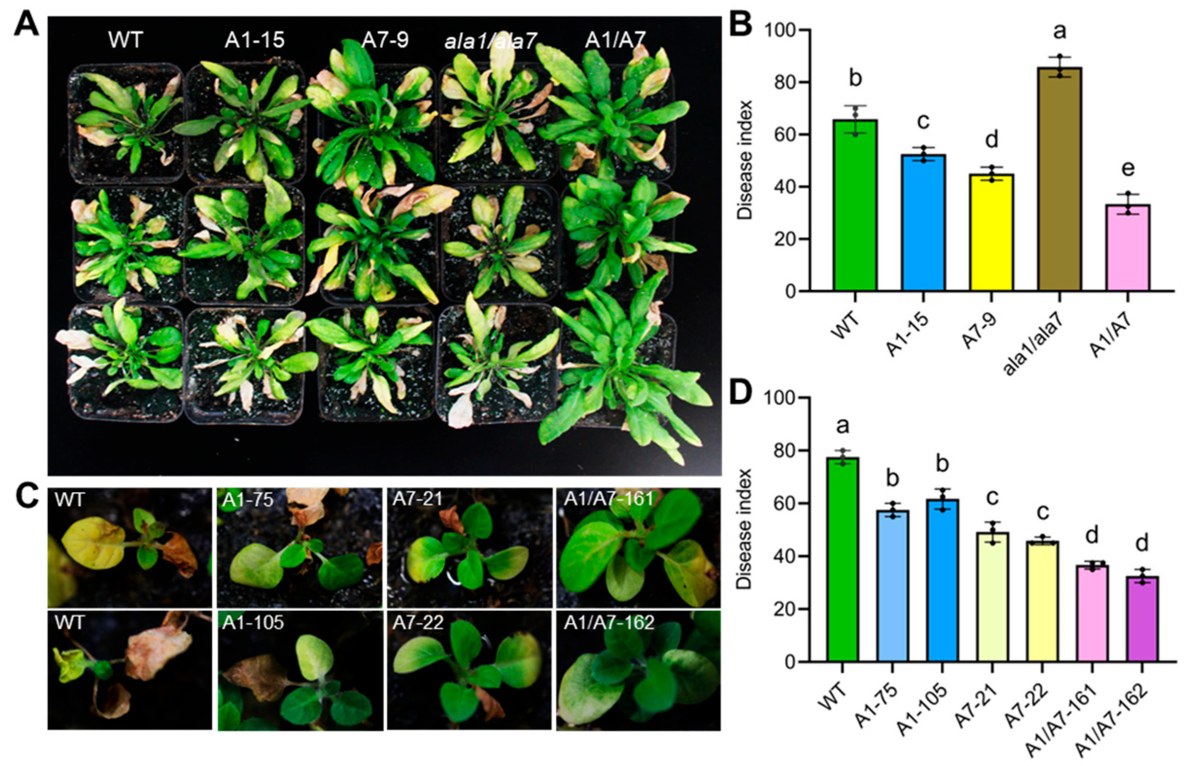 Biology 14 00595 g007
