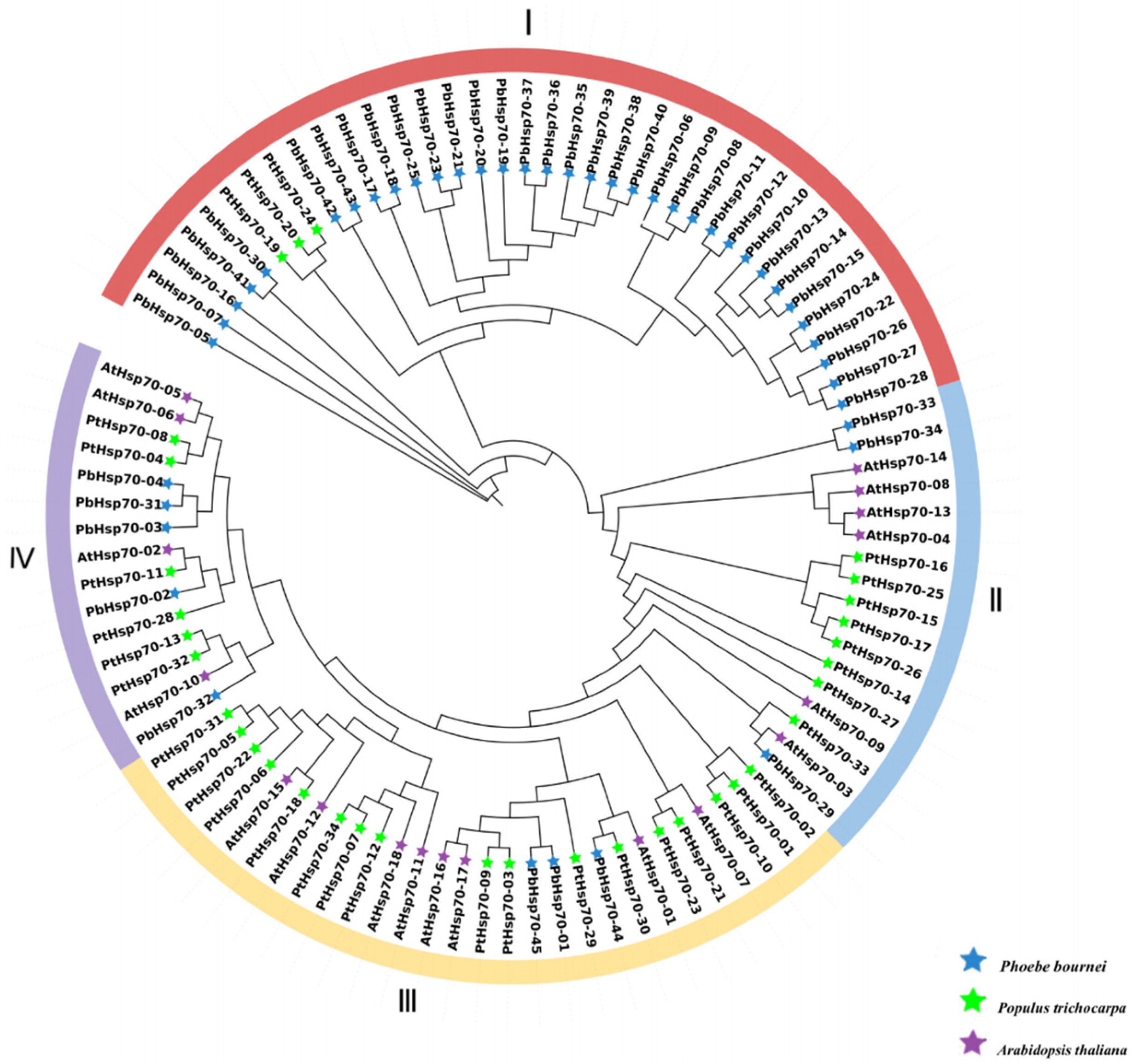 Biology 14 00602 g001 Biology 14 00602 g001
