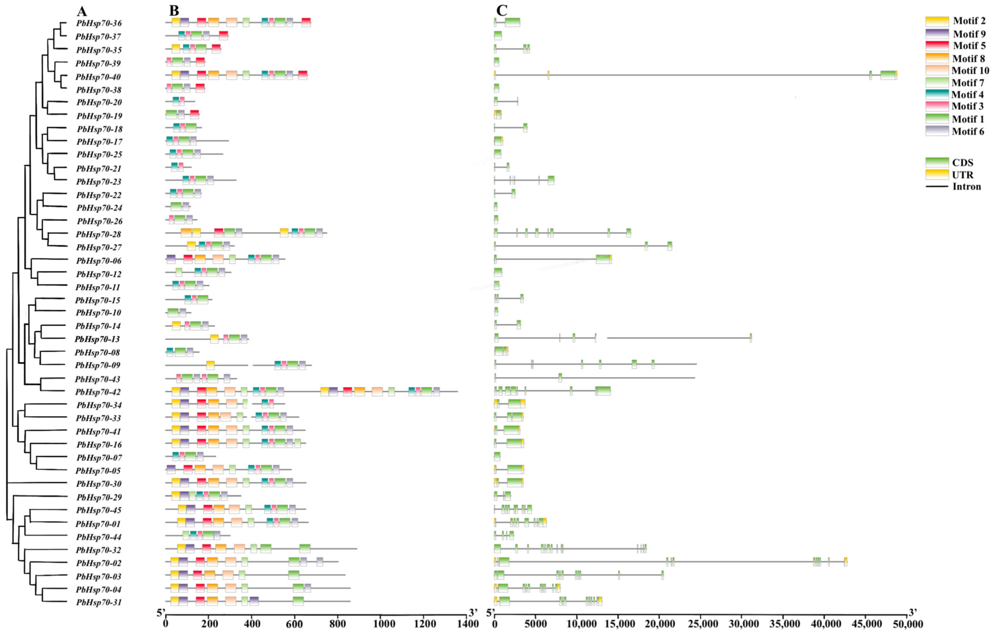 Biology 14 00602 g002 Biology 14 00602 g002